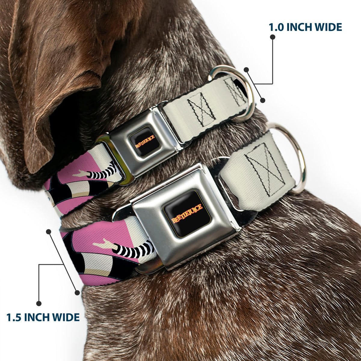 BEETLEJUICE Title Logo Full Color Black/Yellow Seatbelt Buckle Collar - BEETLEJUICE Pose and Sandworm Stripe White/Pink/Gray Dog Collars Seatbelt Buckle Beetlejuice