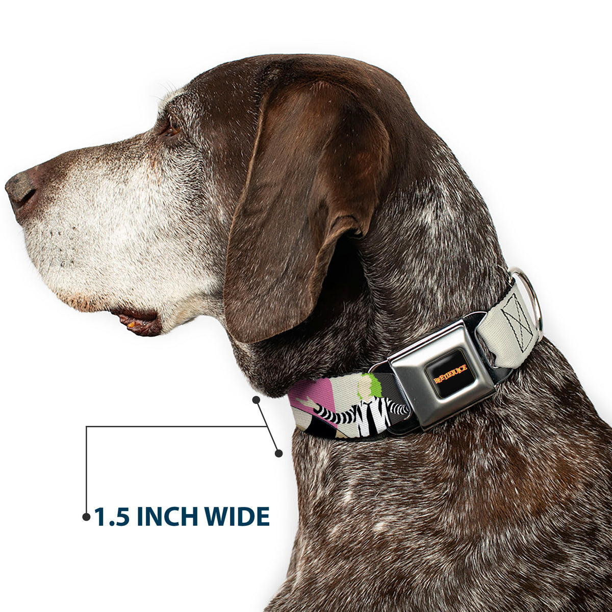 BEETLEJUICE Title Logo Full Color Black/Yellow Seatbelt Buckle Collar - BEETLEJUICE Pose and Sandworm Stripe White/Pink/Gray Dog Collars Seatbelt Buckle Beetlejuice