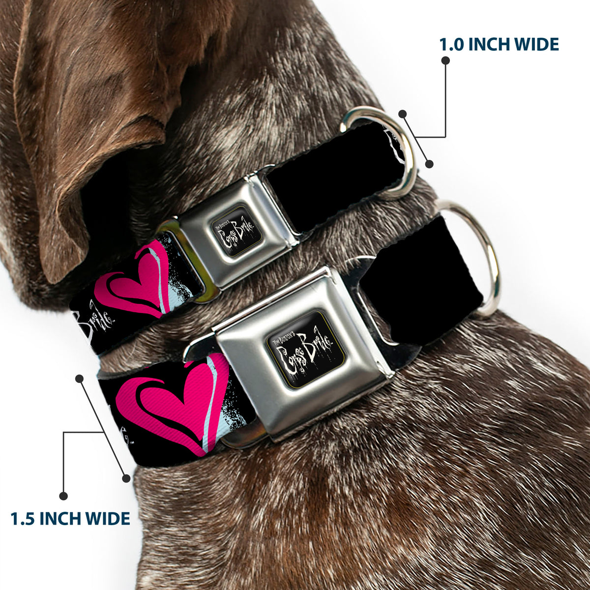 CORPSE BRIDE Title Logo Full Color Black/White Seatbelt Buckle Collar - CORPSE BRIDE Emily Hearts and Skull Black/Gray/Pink Dog Collars Seatbelt Buckle Corpse Bride