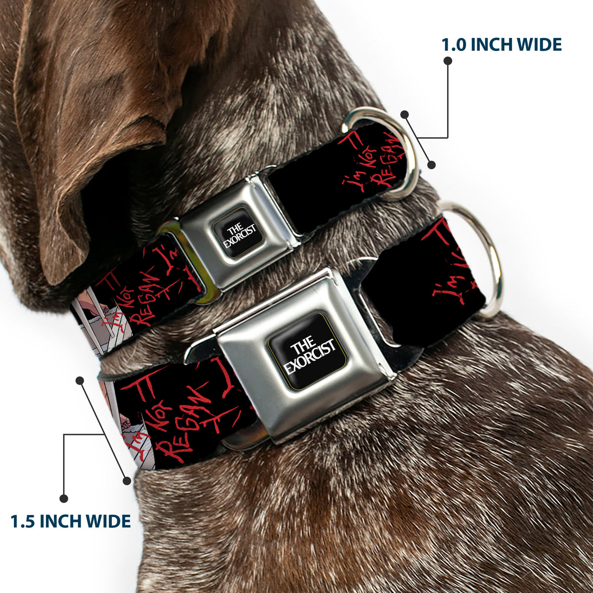 THE EXORCIST Title Logo Full Color Black/White Seatbelt Buckle Collar - THE EXORCIST Regan Pop Art EXCELLENT DAY FOR AN EXORCISM Pose Dog Collars Seatbelt Buckle The Exorcist