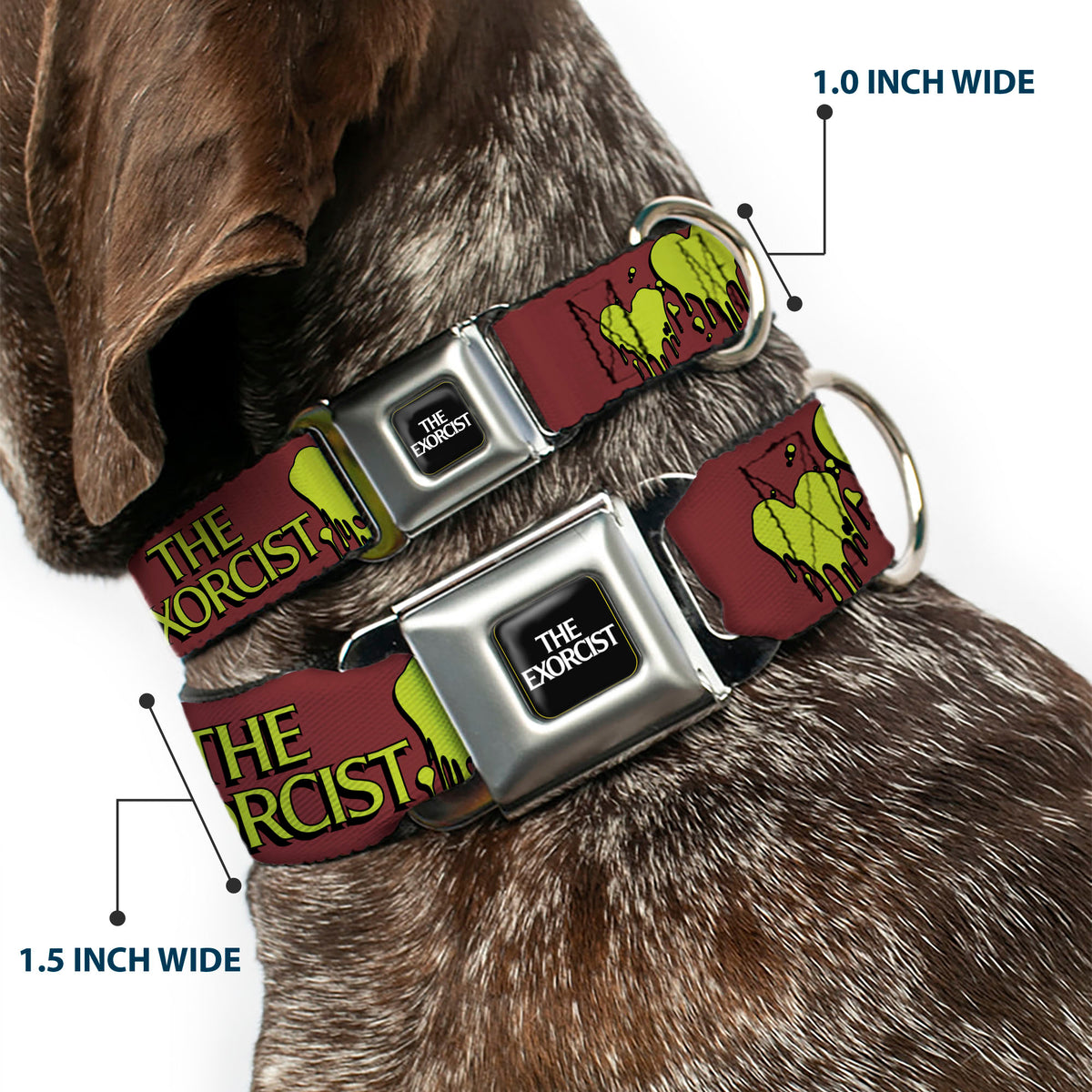THE EXORCIST Title Logo Full Color Black/White Seatbelt Buckle Collar - THE EXORCIST Regan YOU POSSESS MY HEART Pose Red/Yellow Dog Collars Seatbelt Buckle The Exorcist