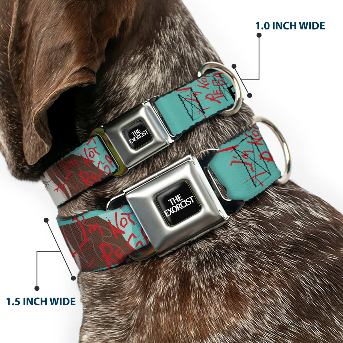 THE EXORCIST Title Logo Full Color Black/White Seatbelt Buckle Collar - THE EXORCIST I'M NOT REGAN Elevation Pose and Face Pop Art Dog Collars Seatbelt Buckle The Exorcist
