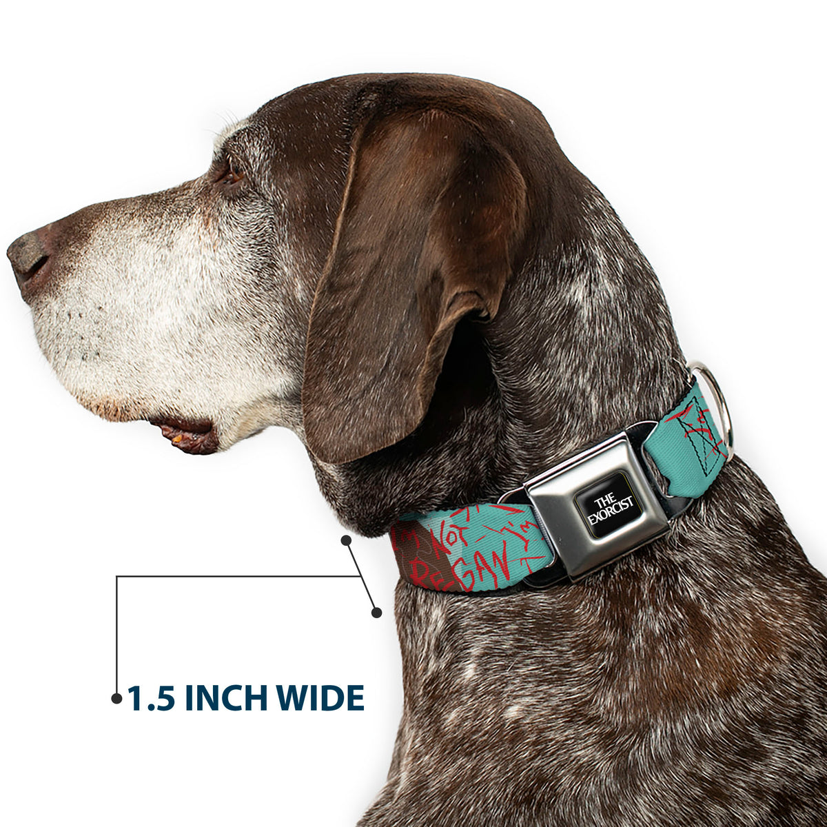 THE EXORCIST Title Logo Full Color Black/White Seatbelt Buckle Collar - THE EXORCIST I'M NOT REGAN Elevation Pose and Face Pop Art Dog Collars Seatbelt Buckle The Exorcist