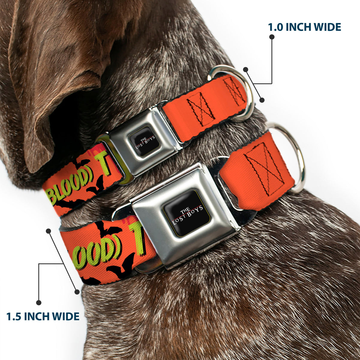 THE LOST BOYS Title Logo Full Color Black/White Seatbelt Buckle Collar - The Lost Boys YOU'RE JUST MY BLOOD TYPE David Pose Orange/Black Dog Collars Seatbelt Buckle The Lost Boys