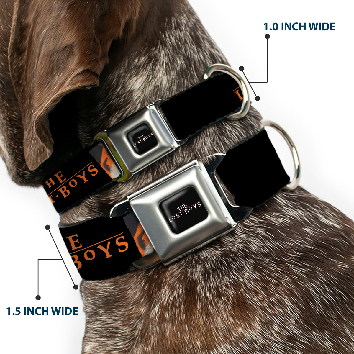 THE LOST BOYS Title Logo Full Color Black/White Seatbelt Buckle Collar - THE LOST BOYS David Pose Stacked and Title Logo Black/Red Dog Collars Seatbelt Buckle The Lost Boys