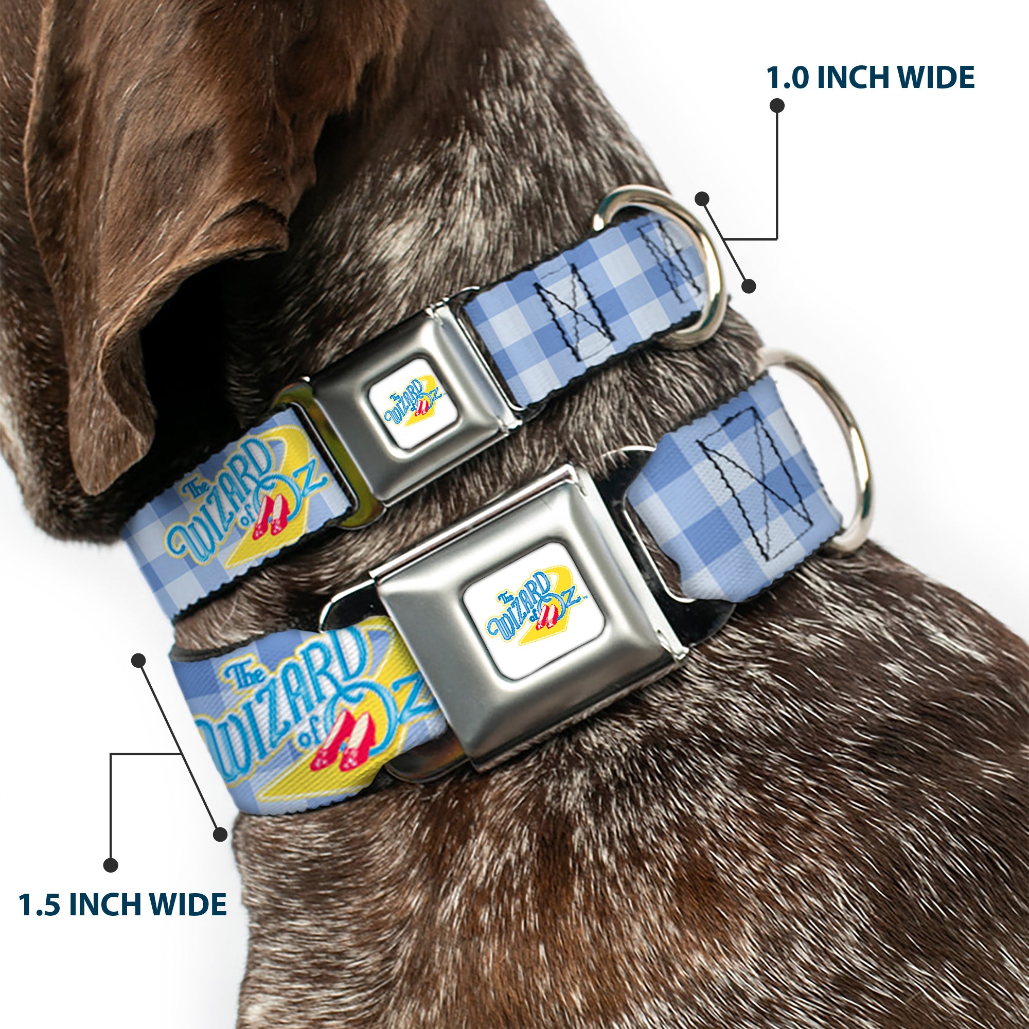 THE WIZARD OF OZ Logo Full Color White Seatbelt Buckle Collar - THE WIZARD OF OZ Logo Gingham Checker Blues Seatbelt Buckle Collars The Wizard of Oz
