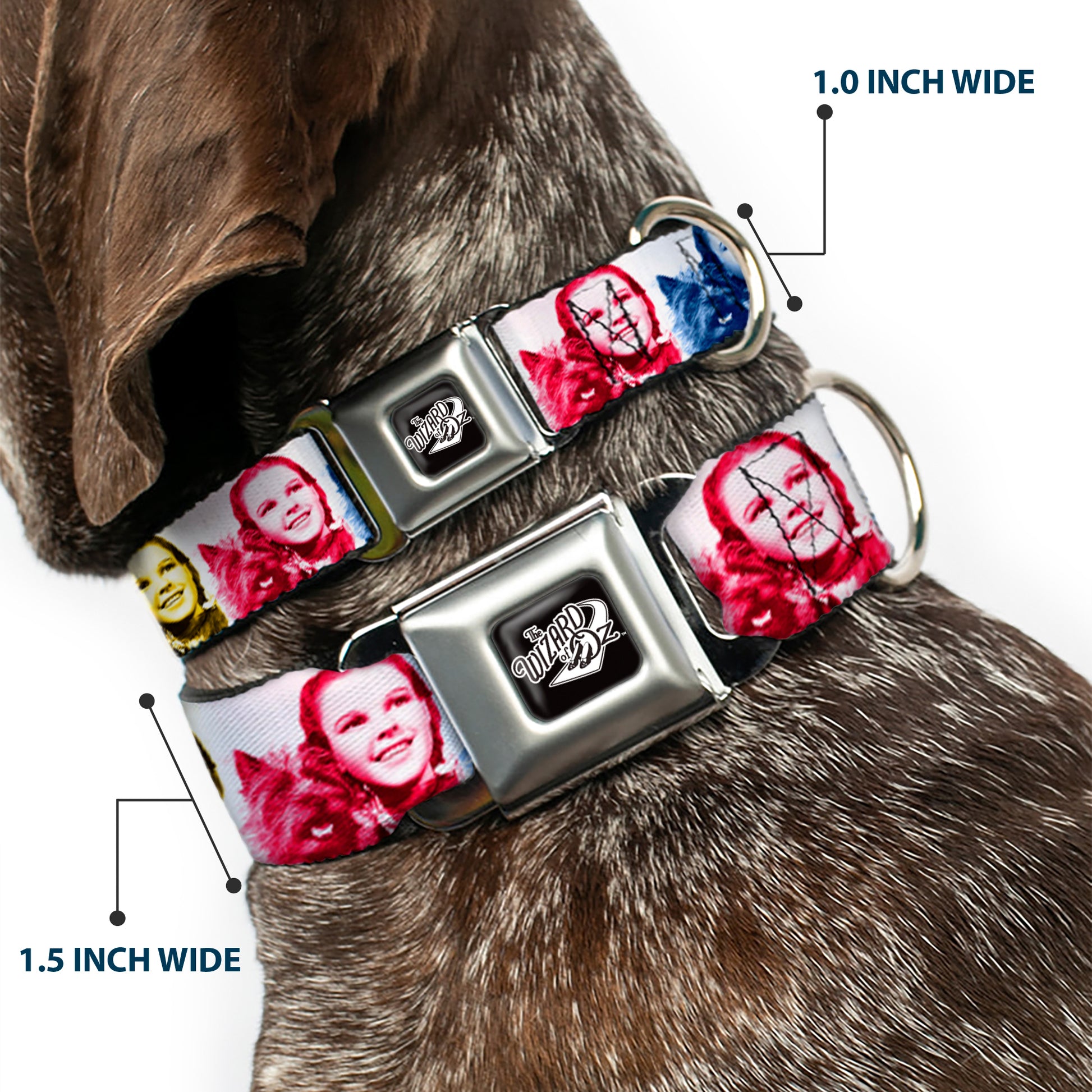 THE WIZARD OF OZ Title Logo Full Color Black/White Seatbelt Buckle Collar - The Wizard of Oz Dorothy and Toto Pose Blocks Blues/Yellows/Reds Seatbelt Buckle Collars The Wizard of Oz