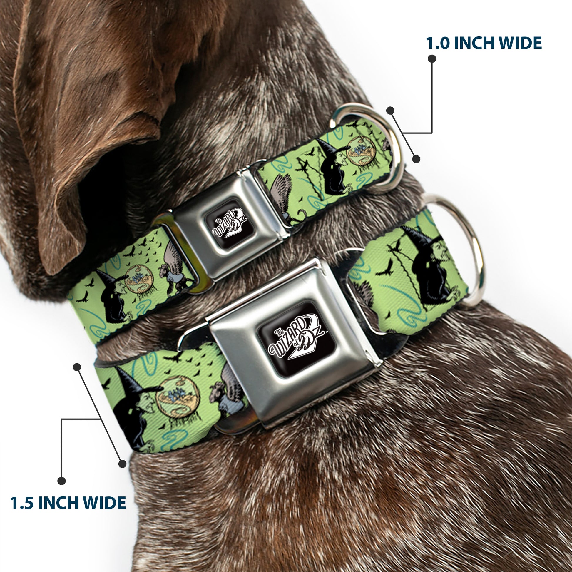 THE WIZARD OF OZ Title Logo Full Color Black/White Seatbelt Buckle Collar - The Wizard of Oz Wicked Witch of the West and Flying Monkeys Greens Seatbelt Buckle Collars The Wizard of Oz