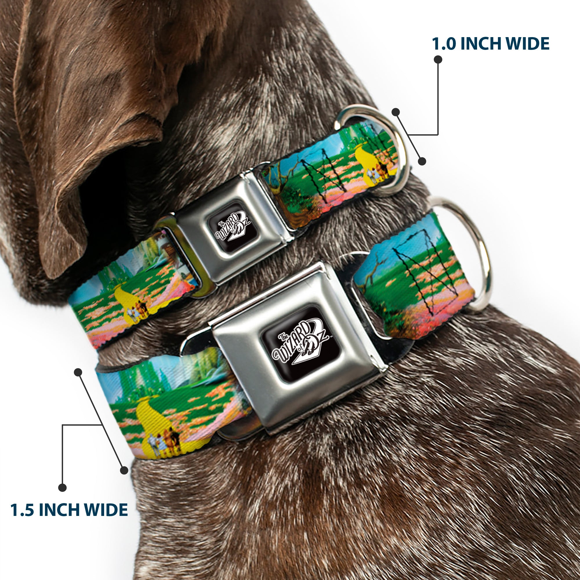 THE WIZARD OF OZ Title Logo Full Color Black/White Seatbelt Buckle Collar - The Wizard of Oz Yellow Brick Road Scenes Seatbelt Buckle Collars The Wizard of Oz