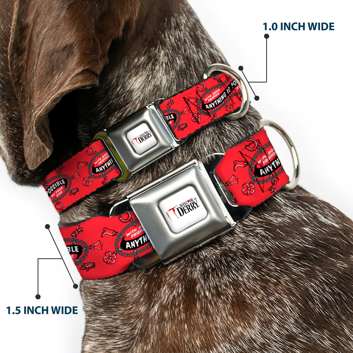 IT WELCOME TO DERRY Title Logo Full Color White Seatbelt Buckle Collar - IT Welcome to Derry ANYTHING IS POSSIBLE Charm Bracelet Red/Black/White Dog Collars Seatbelt Buckle IT