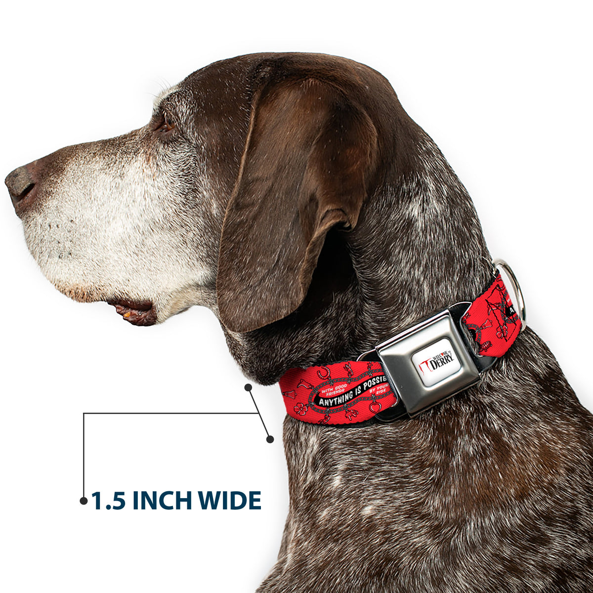 IT WELCOME TO DERRY Title Logo Full Color White Seatbelt Buckle Collar - IT Welcome to Derry ANYTHING IS POSSIBLE Charm Bracelet Red/Black/White Dog Collars Seatbelt Buckle IT