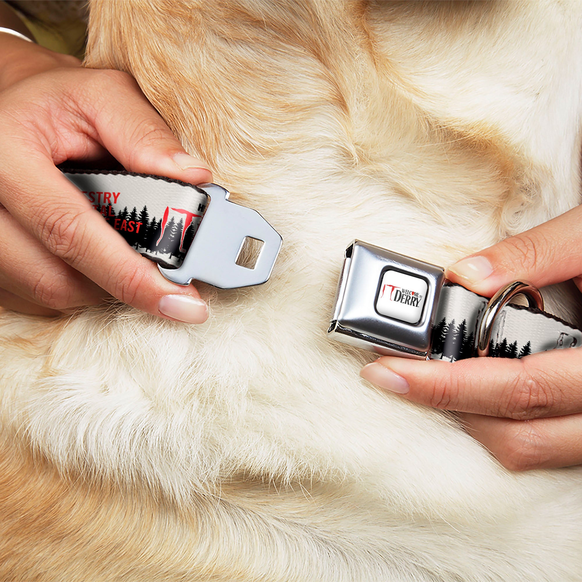 IT WELCOME TO DERRY Title Logo Full Color White Seatbelt Buckle Collar - IT WELCOME TO DERRY Icons and Forest Scenery White/Black/Red Seatbelt Buckle Collars IT