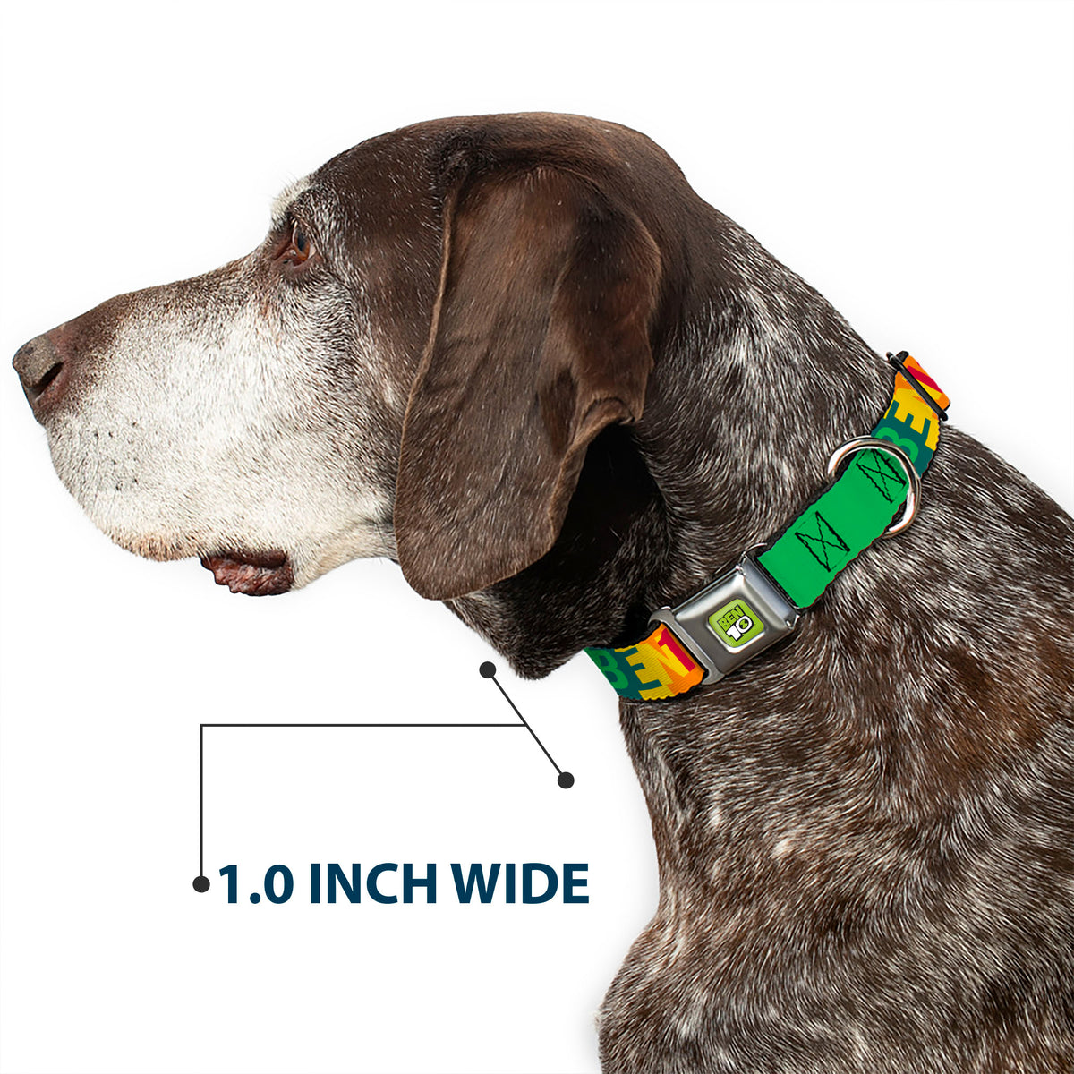BEN 10 Title Logo Full Color Green/Black/White Seatbelt Buckle Collar - BEN 10 Pose and Text Blocks Multi Color Seatbelt Buckle Collars Ben 10