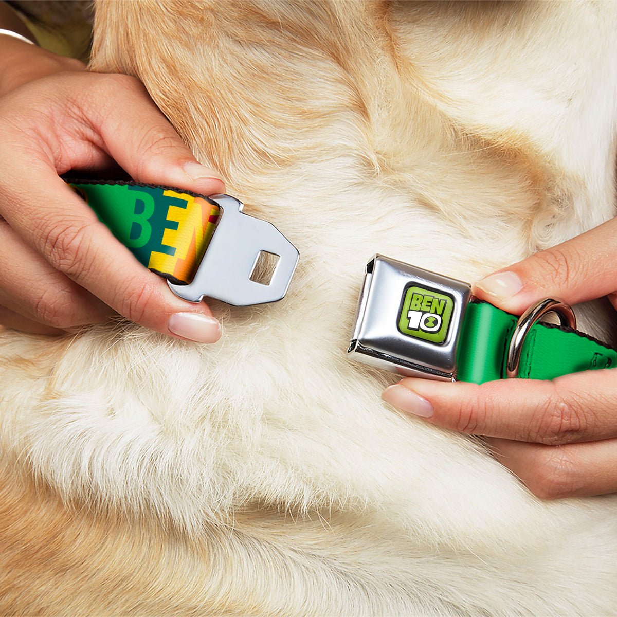 BEN 10 Title Logo Full Color Green/Black/White Seatbelt Buckle Collar - BEN 10 Pose and Text Blocks Multi Color Seatbelt Buckle Collars Ben 10