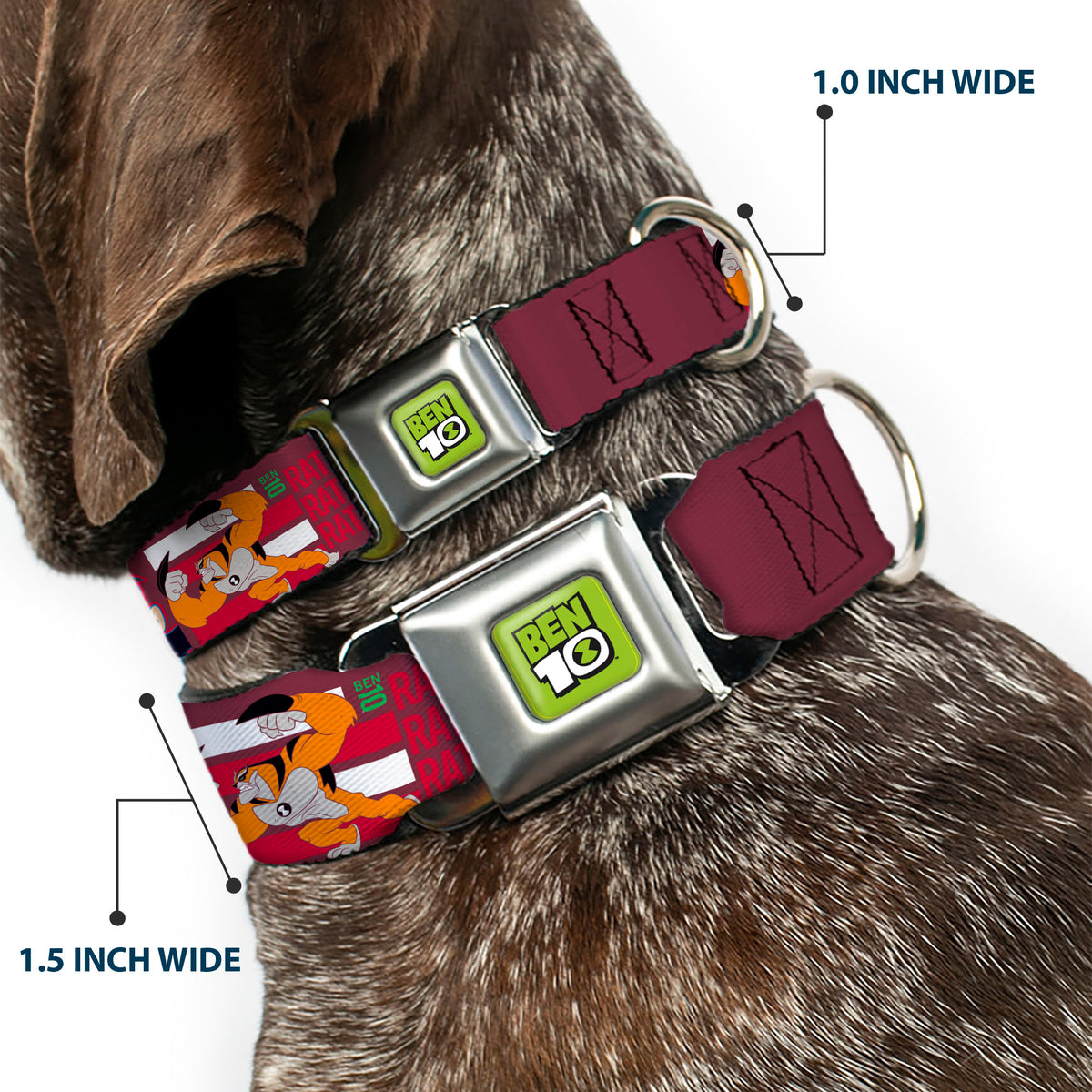 BEN 10 Title Logo Full Color Green/Black/White Seatbelt Buckle Collar - BEN 10 and RATH Text and Poses Reds/White Seatbelt Buckle Collars Ben 10