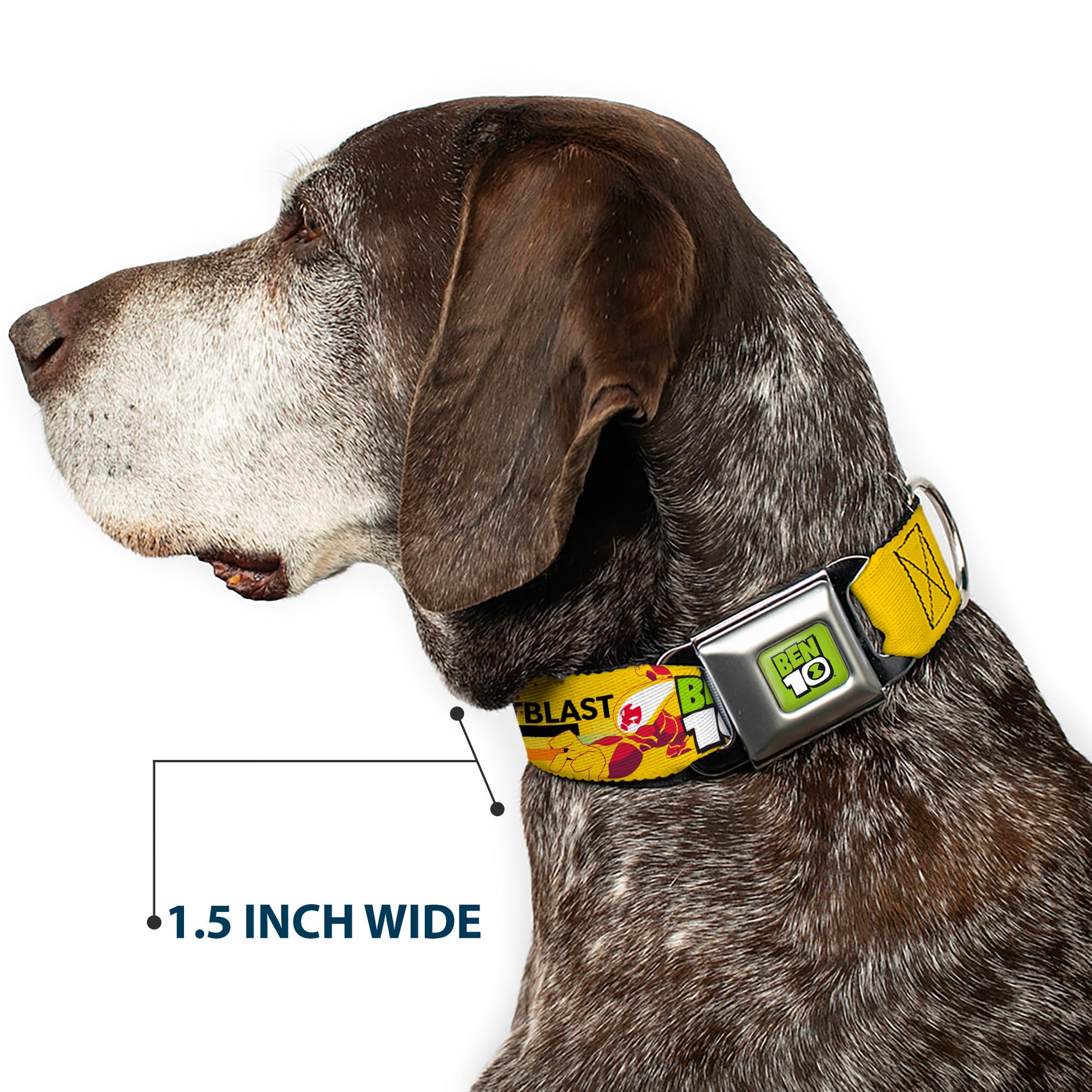 BEN 10 Title Logo Full Color Green/Black/White Seatbelt Buckle Collar - BEN 10 HEATBLAST Poses and Text Yellow/Reds Seatbelt Buckle Collars Ben 10