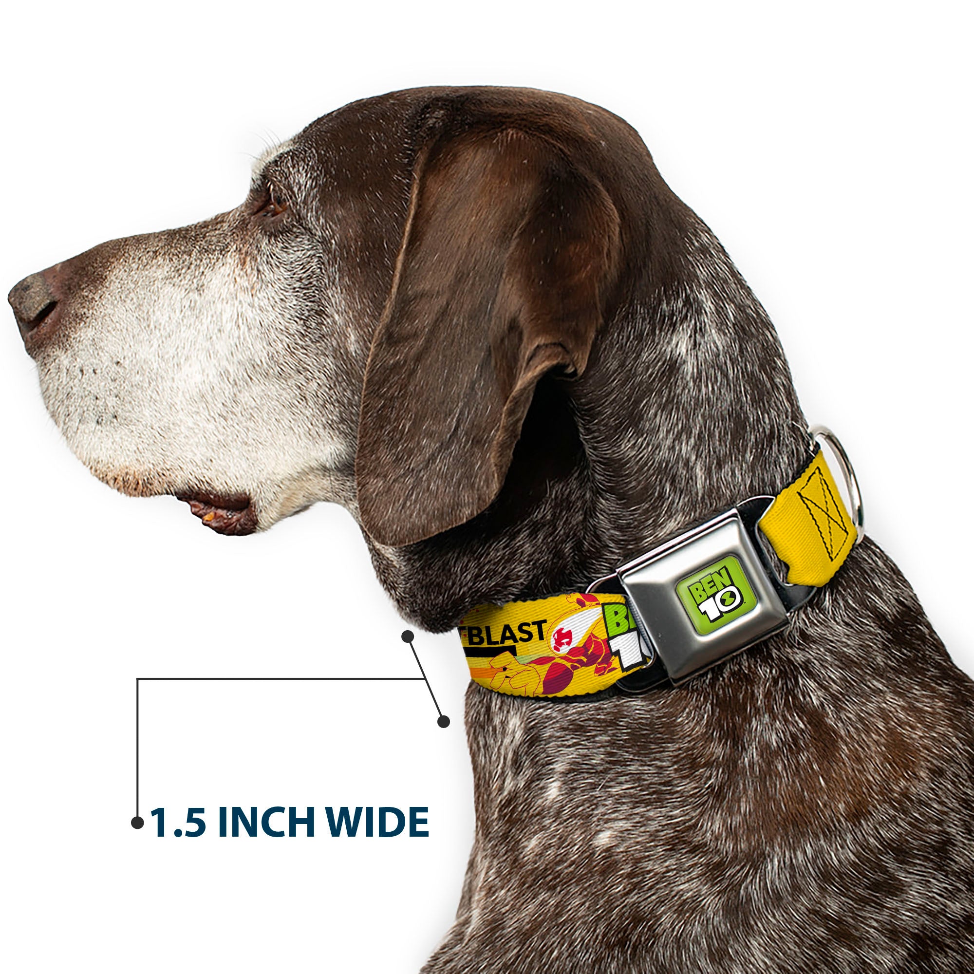 BEN 10 Title Logo Full Color Green/Black/White Seatbelt Buckle Collar - BEN 10 HEATBLAST Poses and Text Yellow/Reds Seatbelt Buckle Collars Ben 10