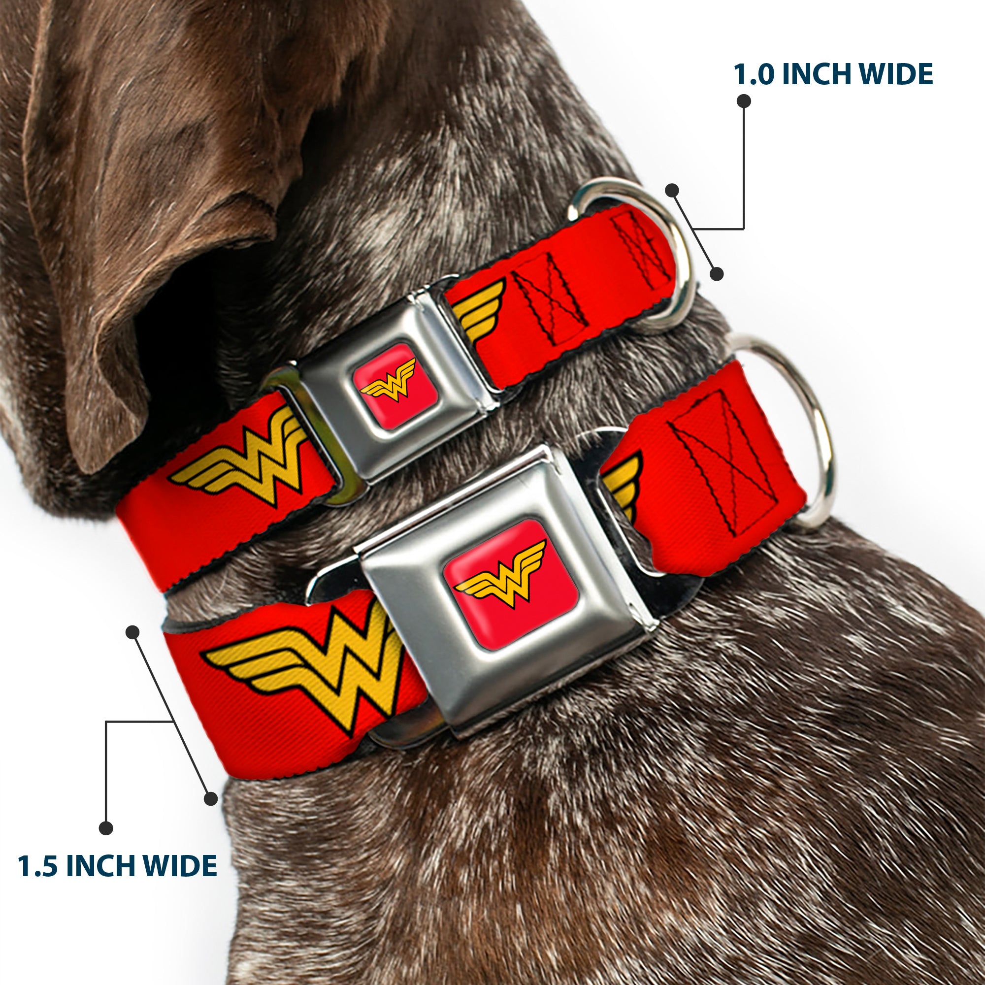 Wonder Woman Logo Full Color Red Seatbelt Buckle Collar - Wonder Woman Logo Red Seatbelt Buckle Collars DC Comics