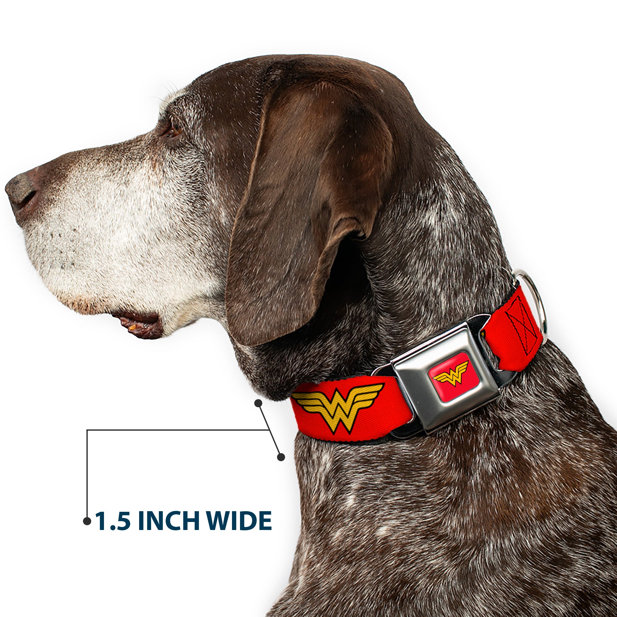 Wonder Woman Logo Full Color Red Seatbelt Buckle Collar - Wonder Woman Logo Red Seatbelt Buckle Collars DC Comics