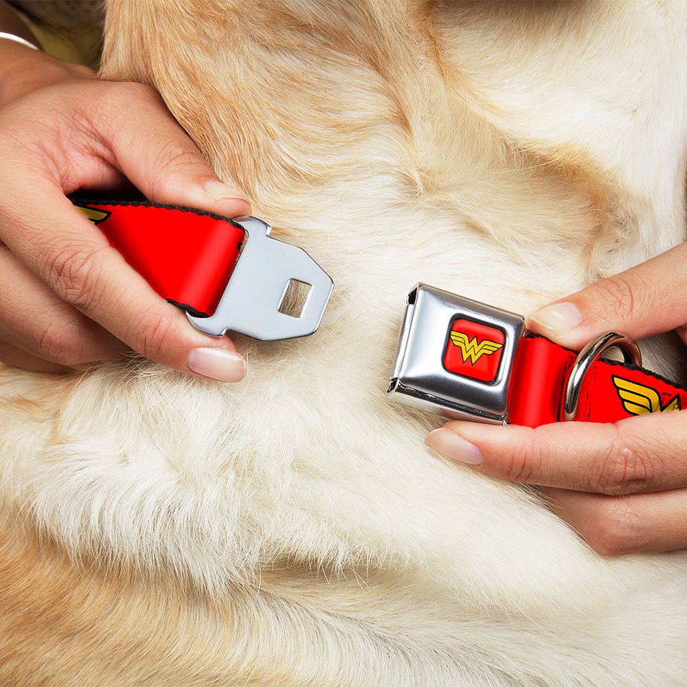 Wonder Woman Logo Full Color Red Seatbelt Buckle Collar - Wonder Woman Logo Red Seatbelt Buckle Collars DC Comics