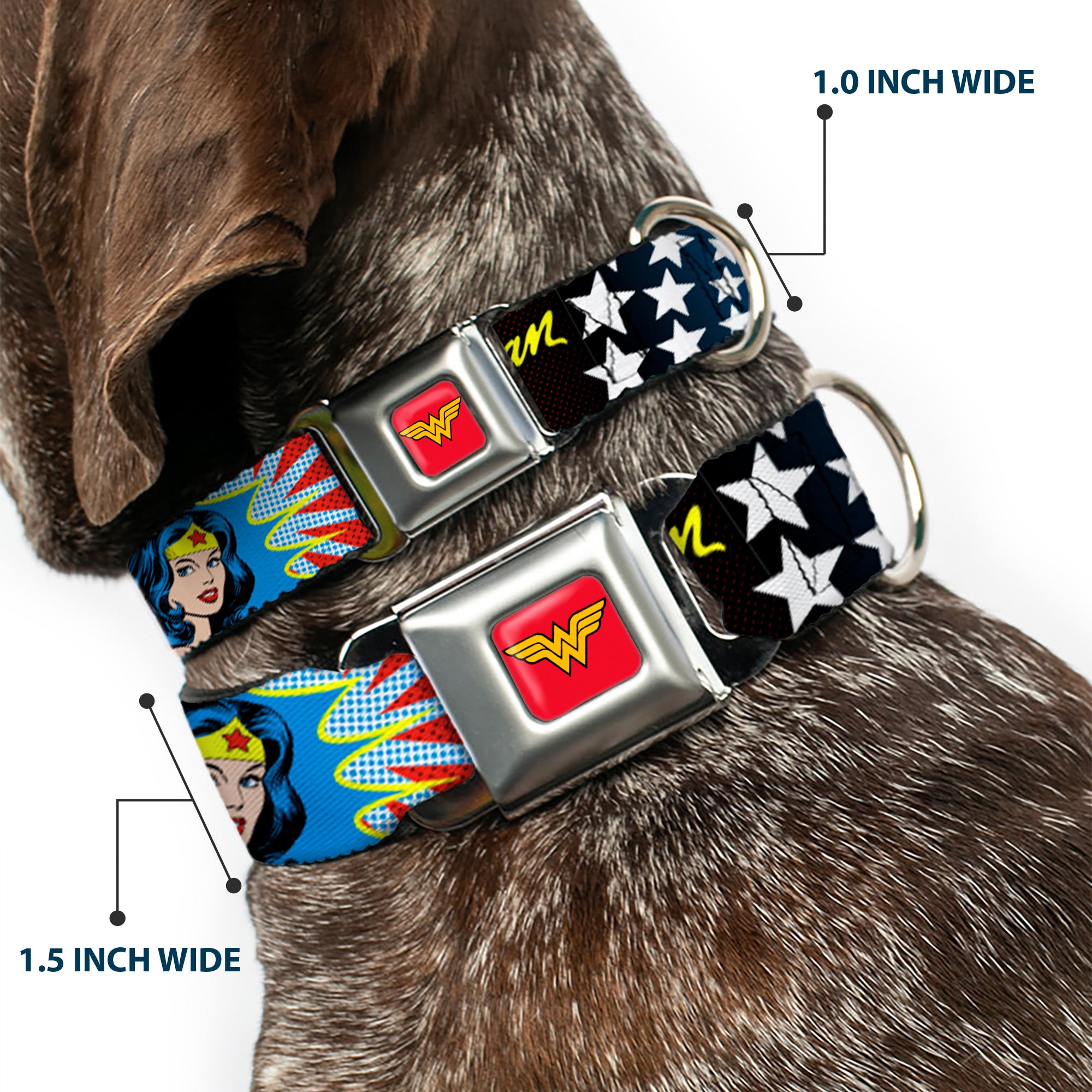 Wonder Woman Logo Full Color Red Seatbelt Buckle Collar - Wonder Woman Face w/Stars Seatbelt Buckle Collars DC Comics