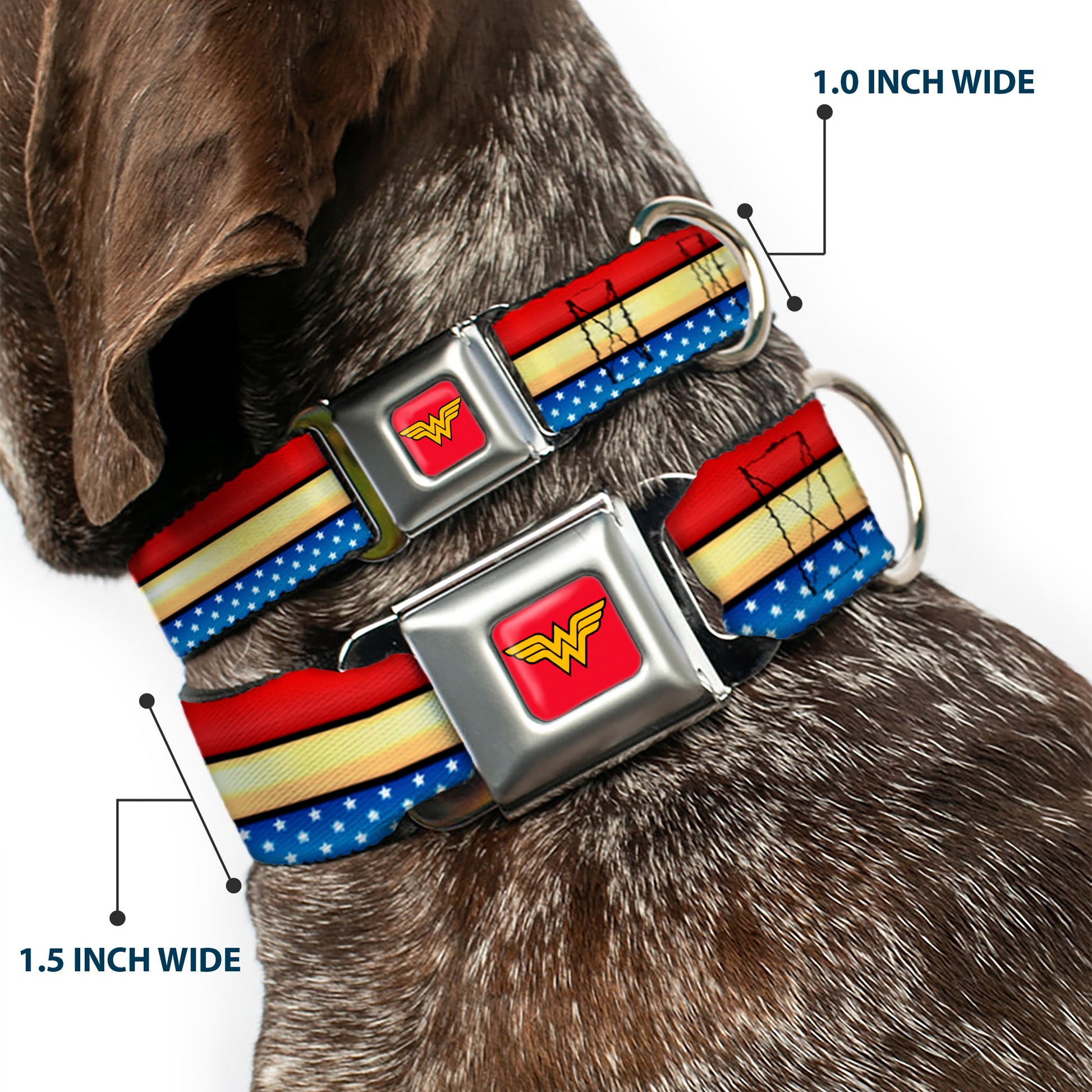 Wonder Woman Logo Full Color Red Seatbelt Buckle Collar - Wonder Woman Stripe/Stars Red/Gold/Blue/White Seatbelt Buckle Collars DC Comics
