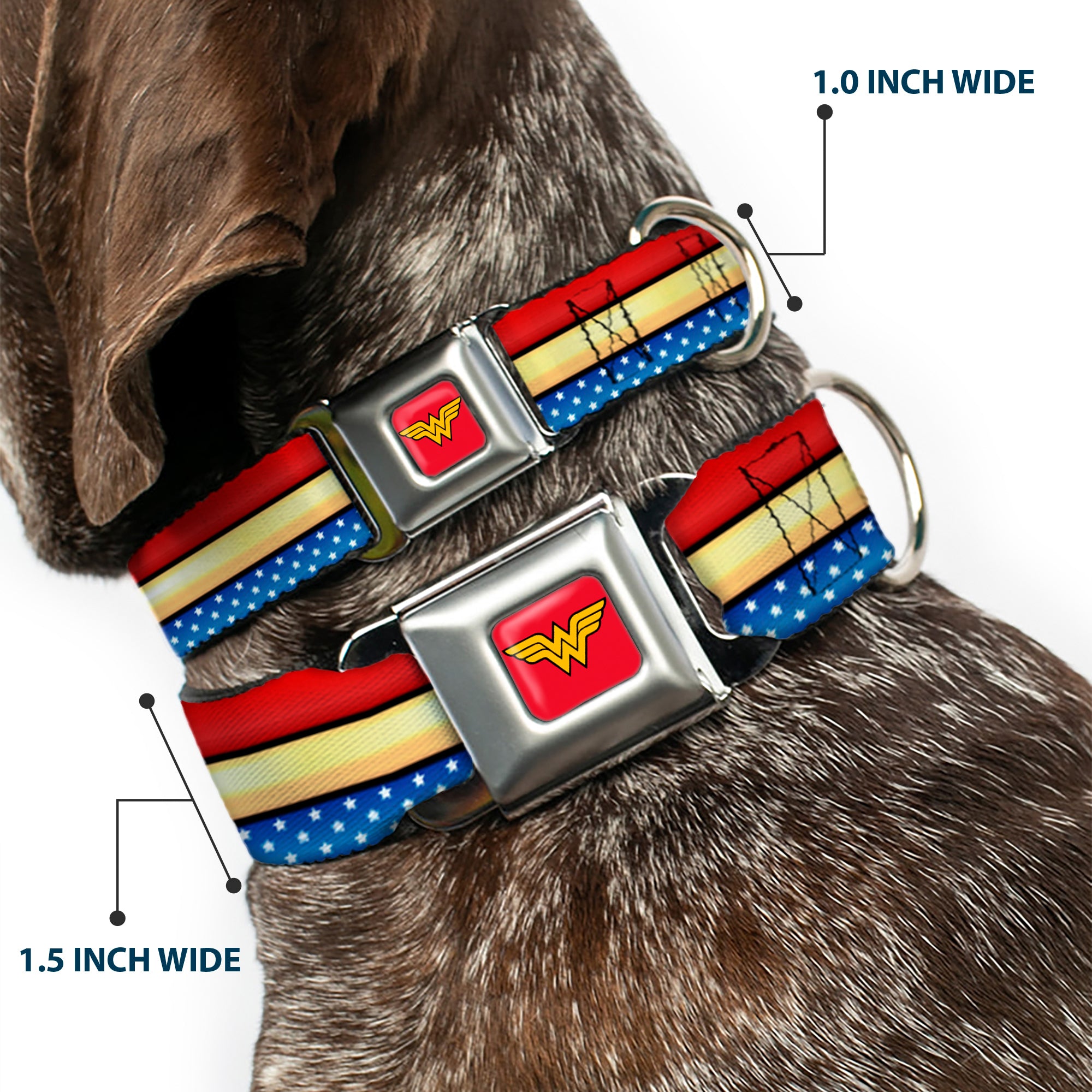 Wonder Woman Logo Full Color Red Seatbelt Buckle Collar - Wonder Woman Stripe/Stars Red/Gold/Blue/White Seatbelt Buckle Collars DC Comics