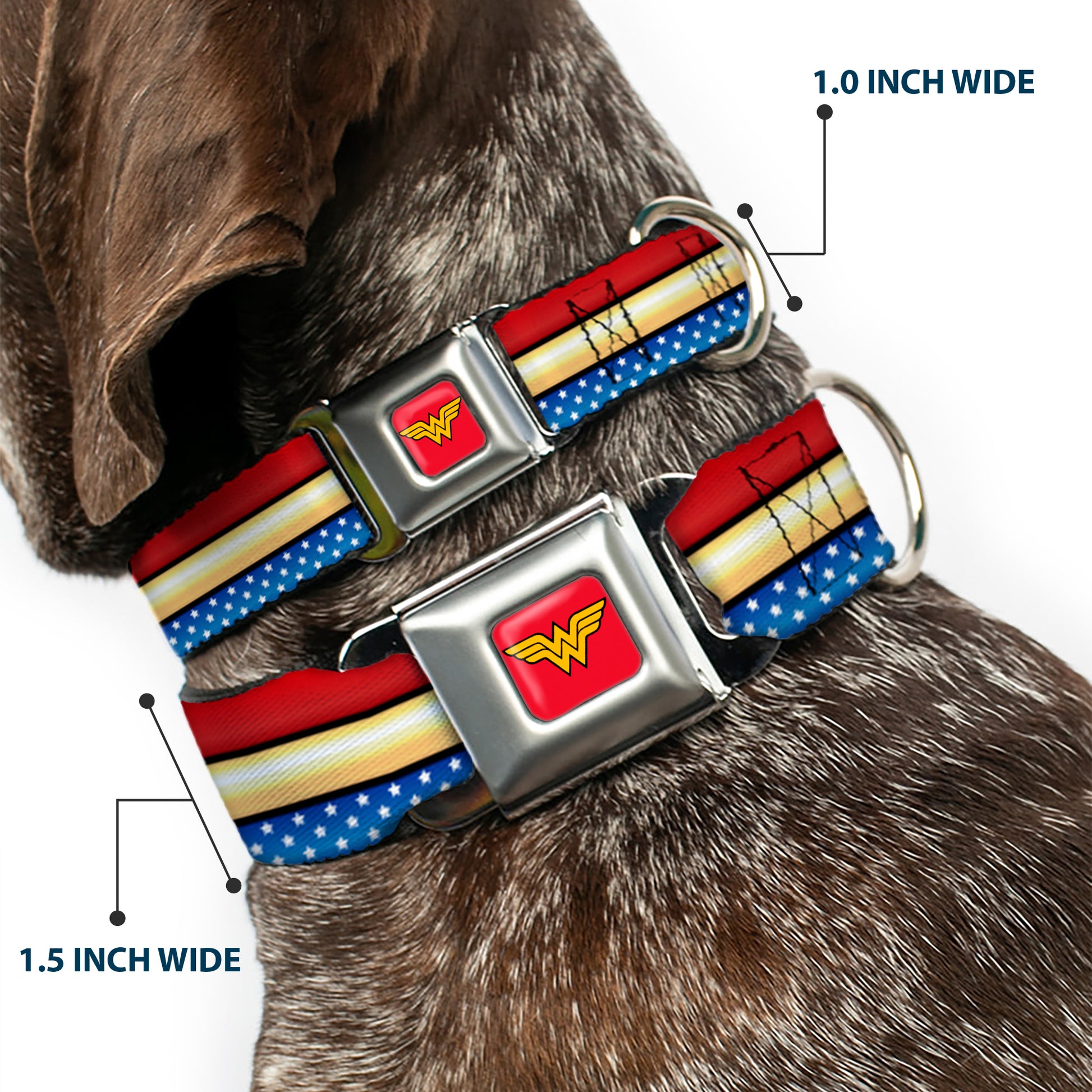 Wonder Woman Logo Full Color Red Seatbelt Buckle Collar - Wonder Woman Logo Stripe/Stars Red/Gold/Blue/White Seatbelt Buckle Collars DC Comics
