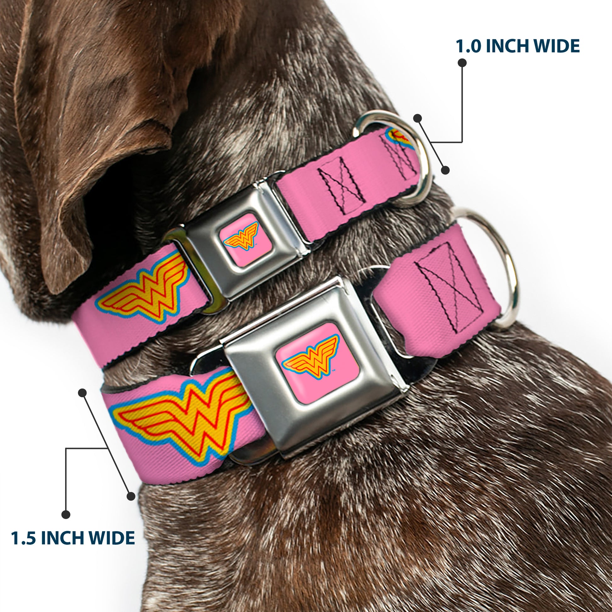 Wonder Woman Logo Pink/Blue/Yellow/Pink Seatbelt Buckle Collar - Wonder Woman Logo Pink/Blue/Yellow/Pink Seatbelt Buckle Collars DC Comics