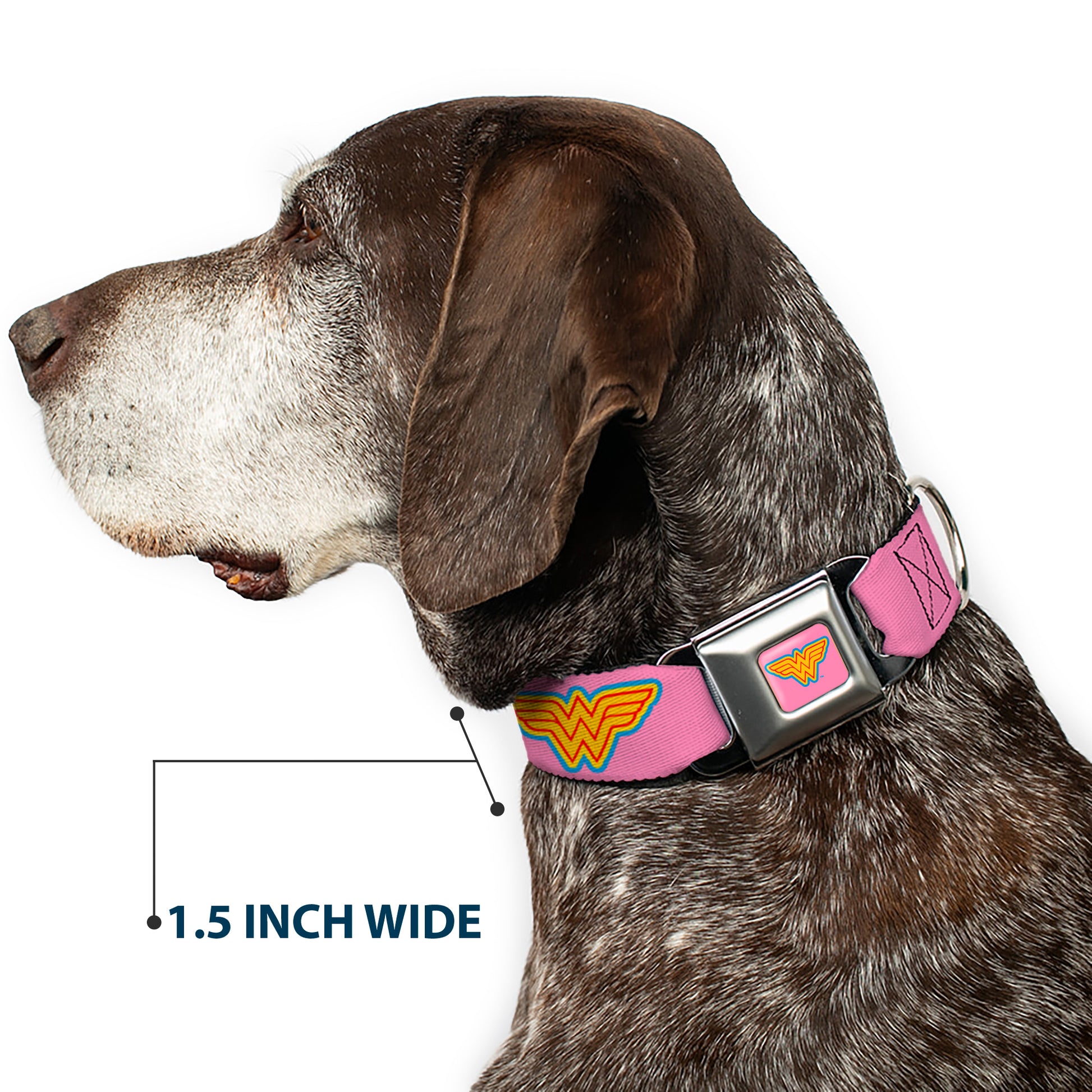 Wonder Woman Logo Pink/Blue/Yellow/Pink Seatbelt Buckle Collar - Wonder Woman Logo Pink/Blue/Yellow/Pink Seatbelt Buckle Collars DC Comics