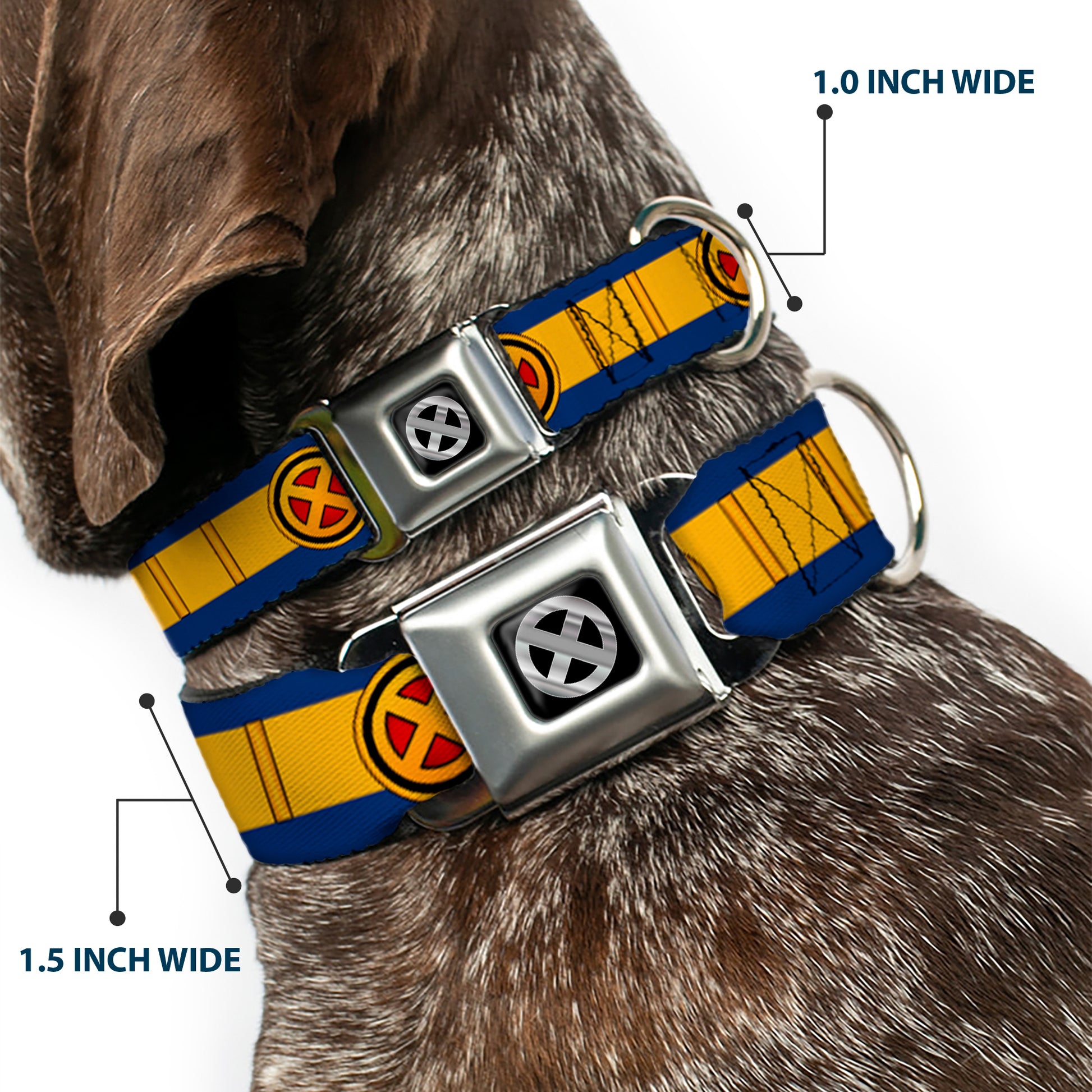 X-Men Icon Black/Silver Gradient Seatbelt Buckle Collar - X-Men Cyclops Utility Strap Blue/Gold/Black/Red Seatbelt Buckle Collars Marvel Comics