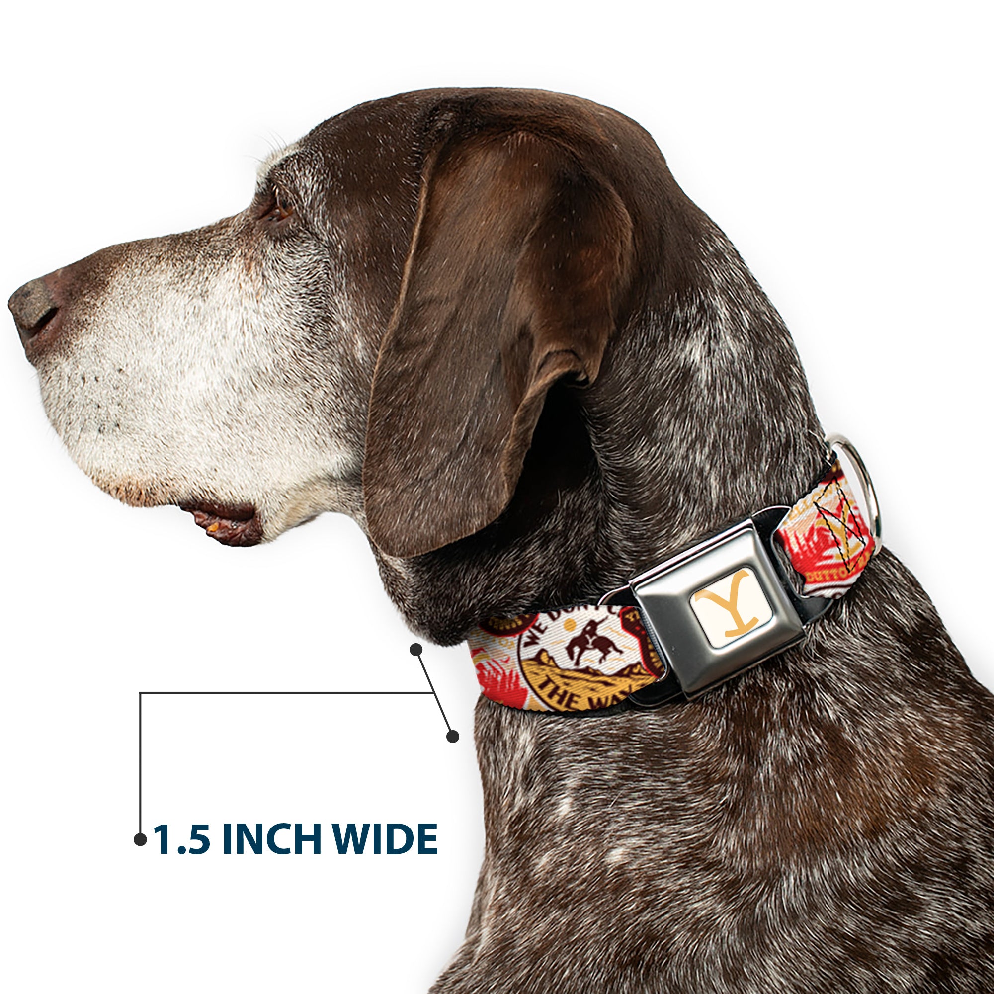 Yellowstone Y Logo Full Color White/Yellow Seatbelt Buckle Collar - Yellowstone Patches Stacked Browns/Reds/Yellows Seatbelt Buckle Collars Yellowstone