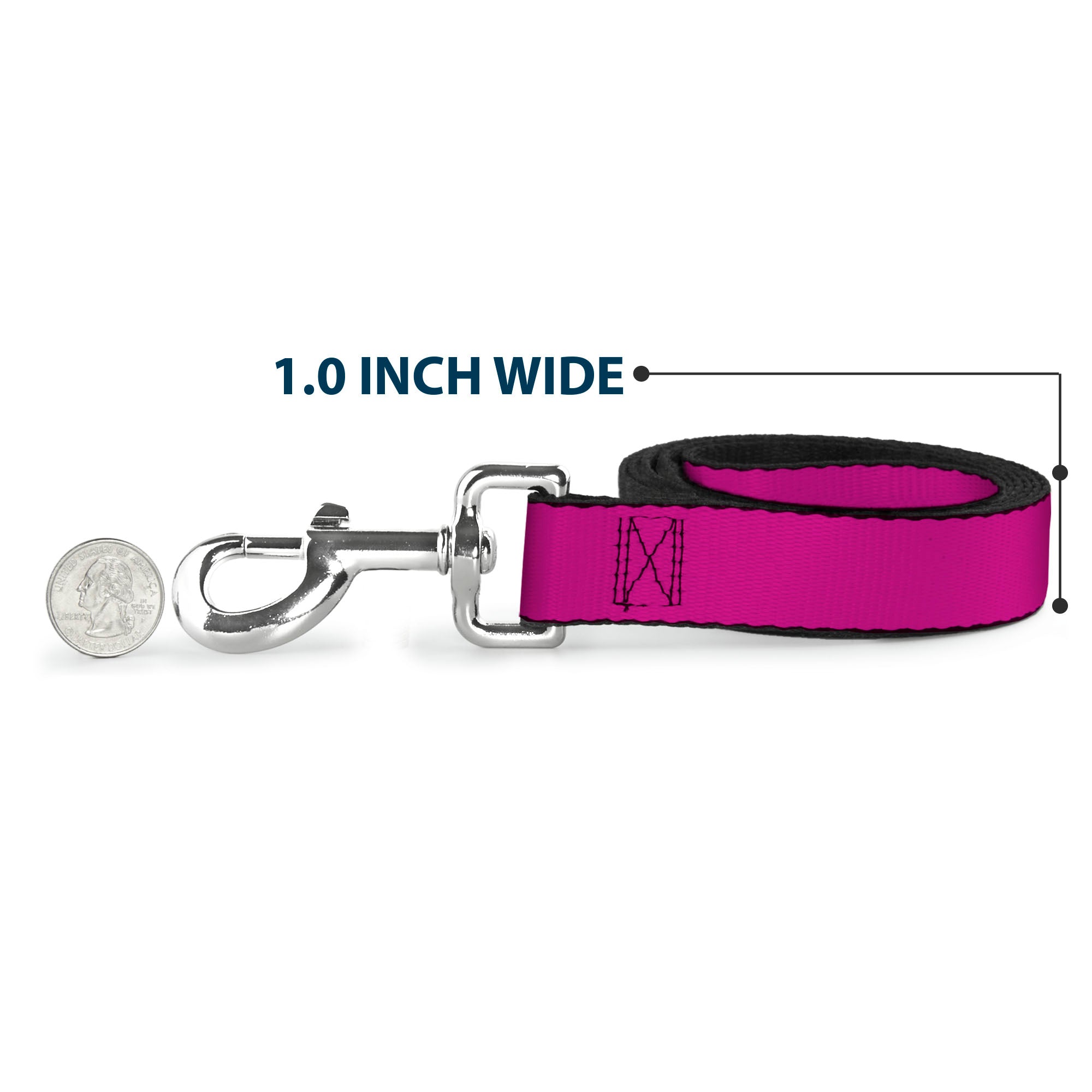 Dog Leash - Fuchsia Dog Leashes Buckle-Down