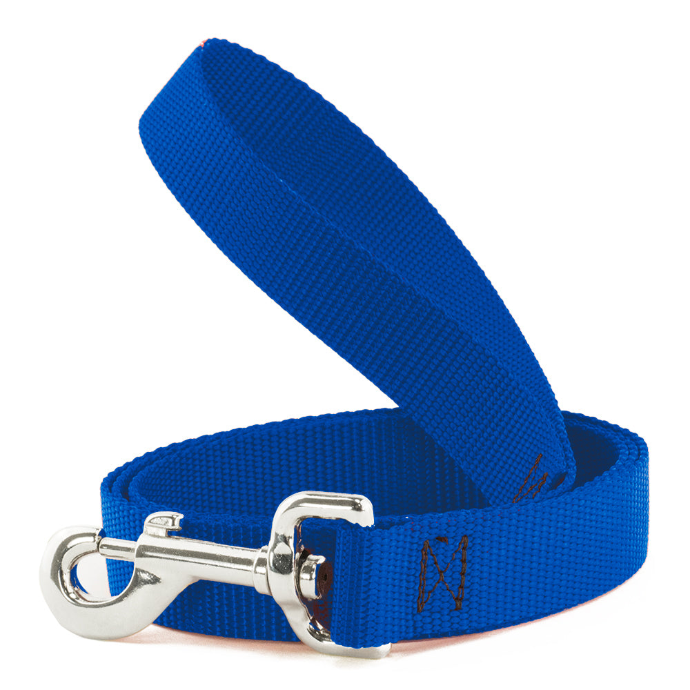Dog Leash - Royal Nylon Dog Leashes Buckle-Down