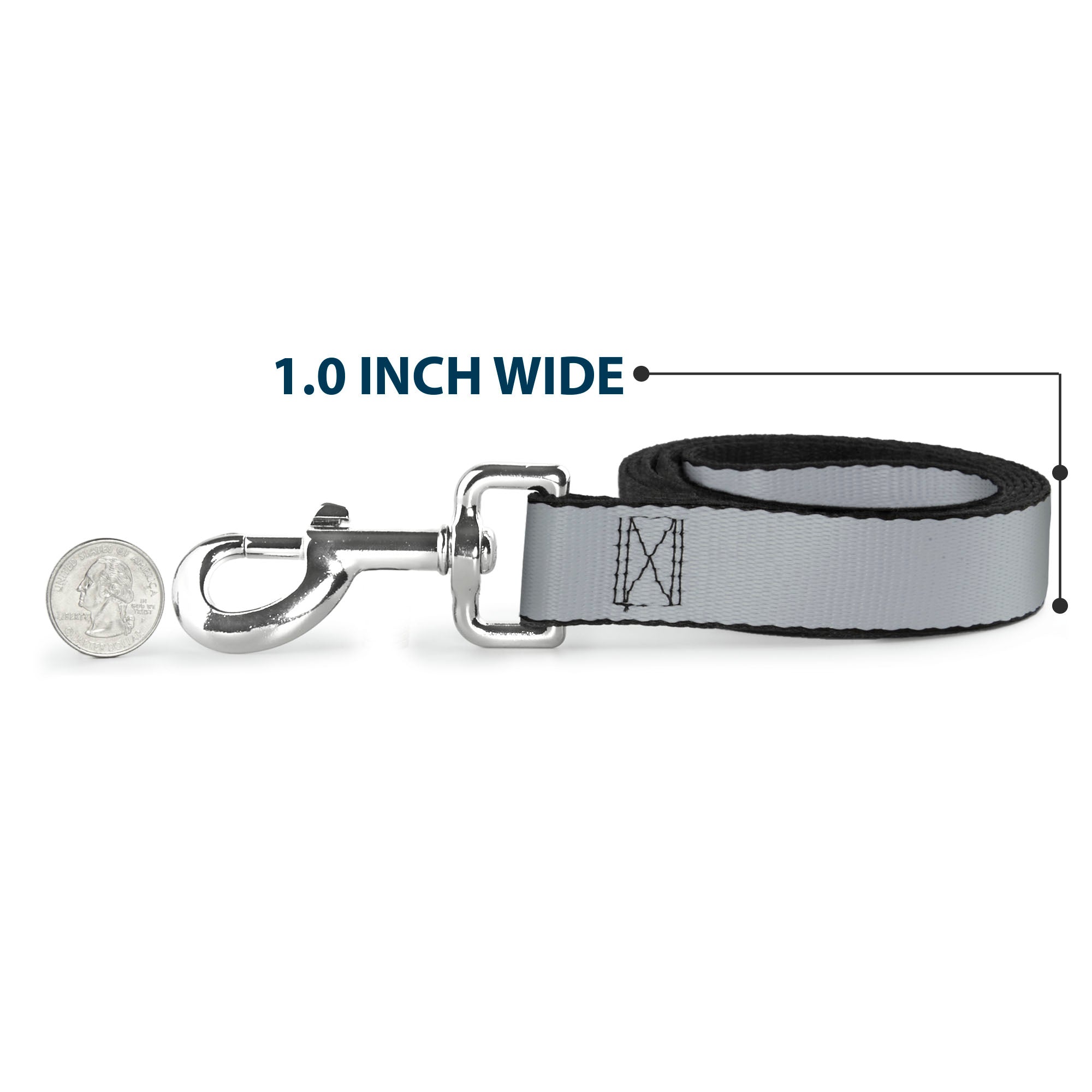 Dog Leash - Silver Dog Leashes Buckle-Down