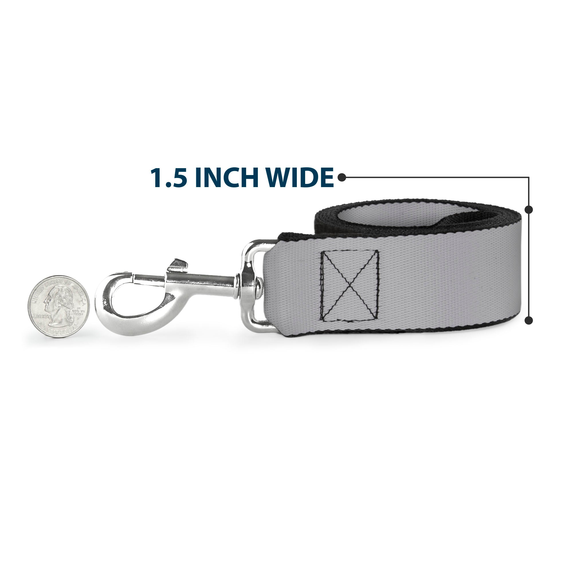 Dog Leash - Silver Dog Leashes Buckle-Down