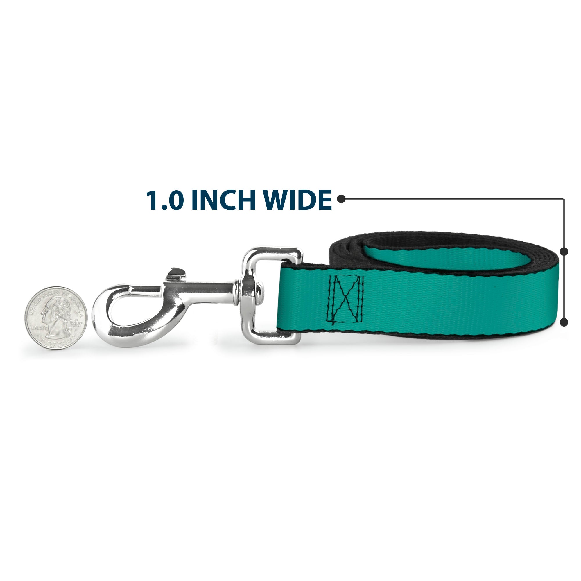 Dog Leash - Teal Dog Leashes Buckle-Down