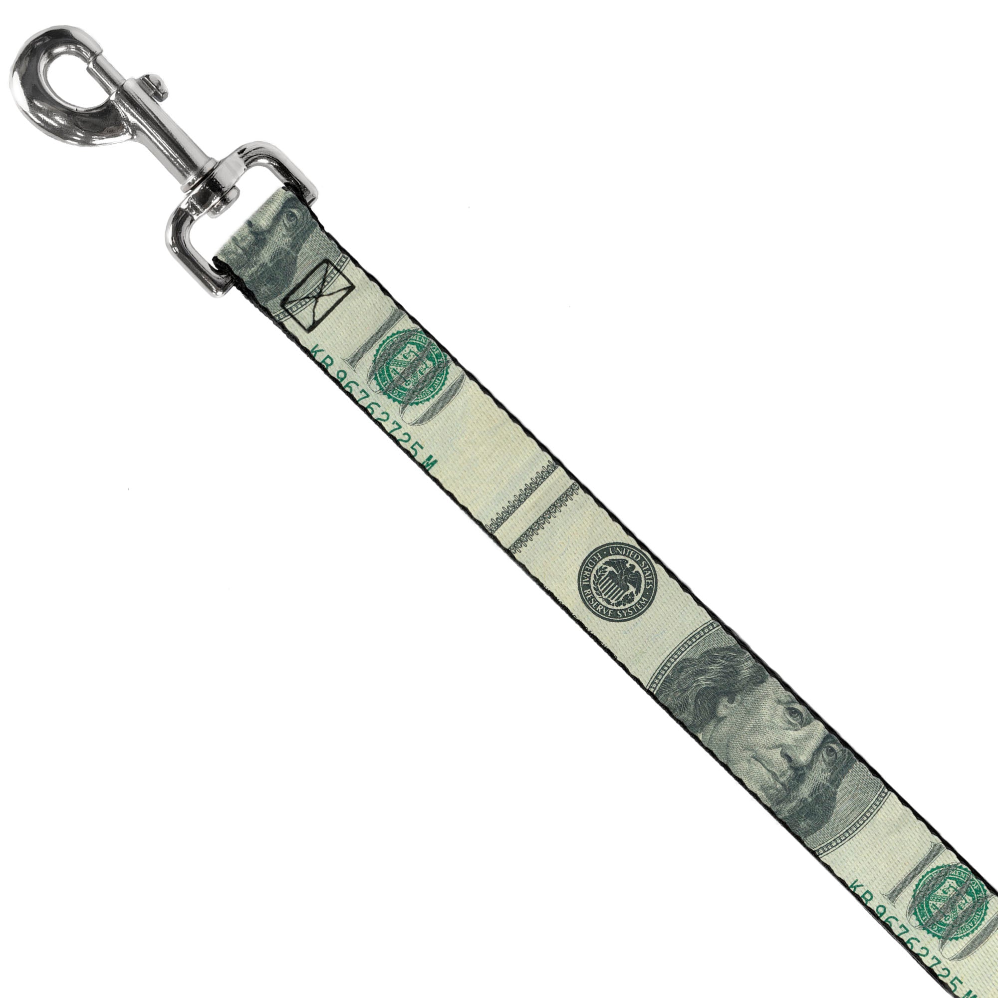 Dog Leash - 100 Dollar Bill CLOSE-UP Dog Leashes Buckle-Down