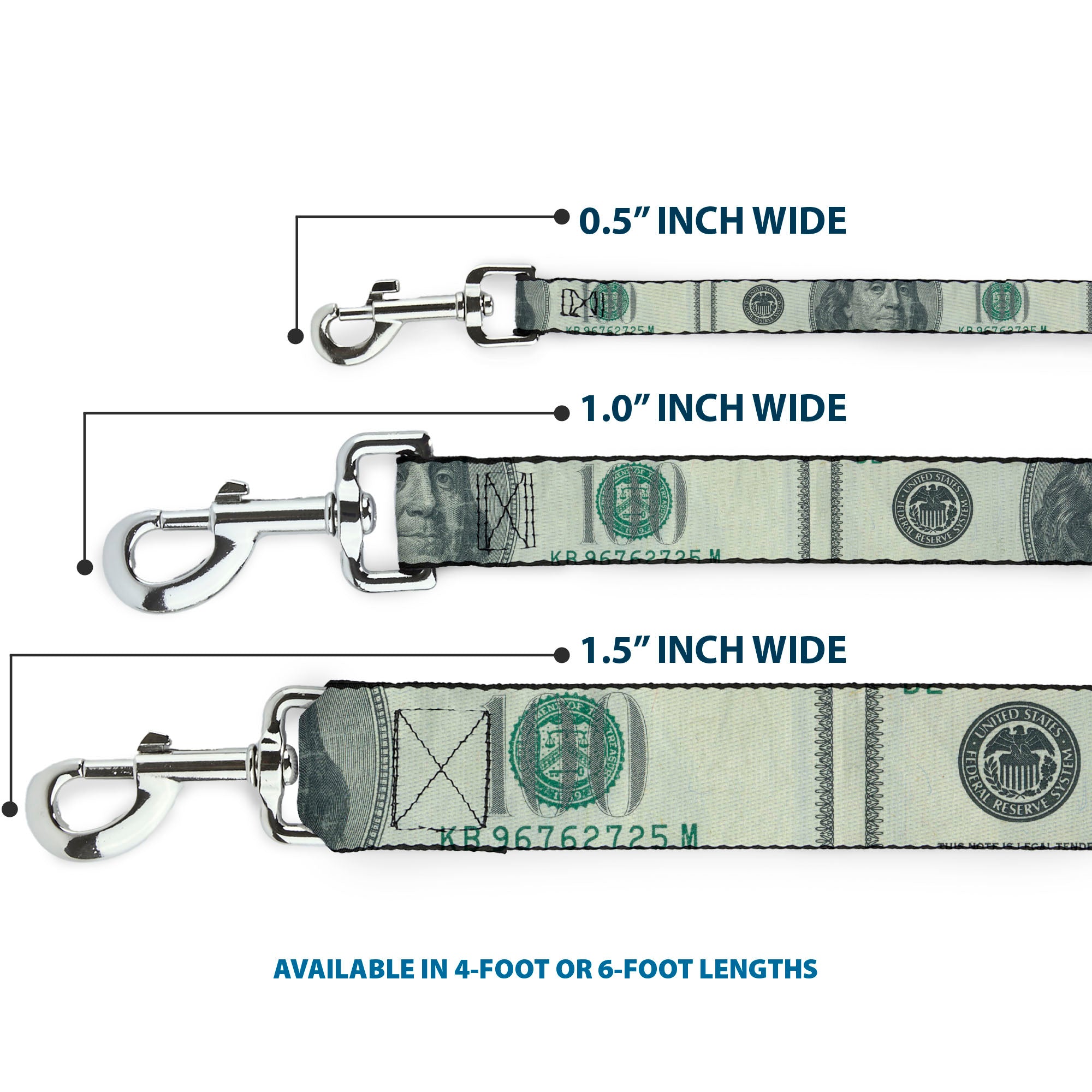 Dog Leash - 100 Dollar Bill CLOSE-UP Dog Leashes Buckle-Down