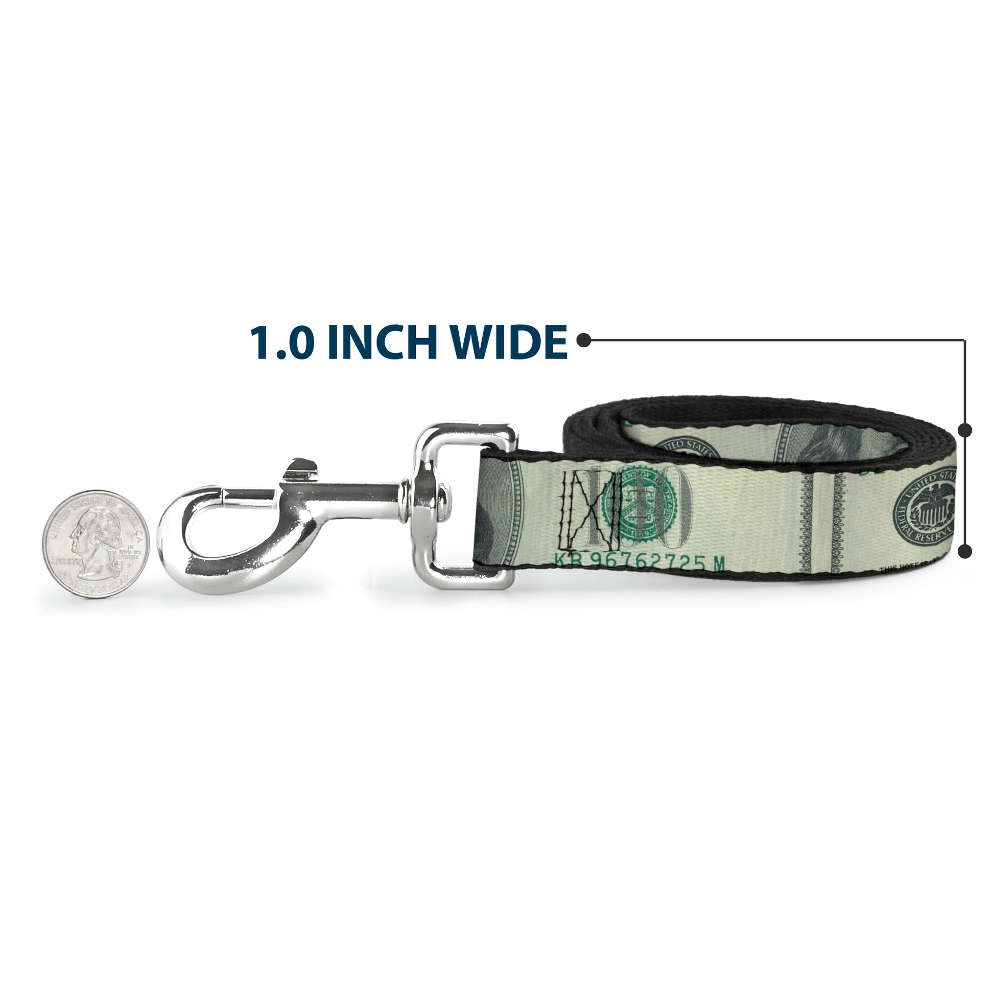 Dog Leash - 100 Dollar Bill CLOSE-UP Dog Leashes Buckle-Down