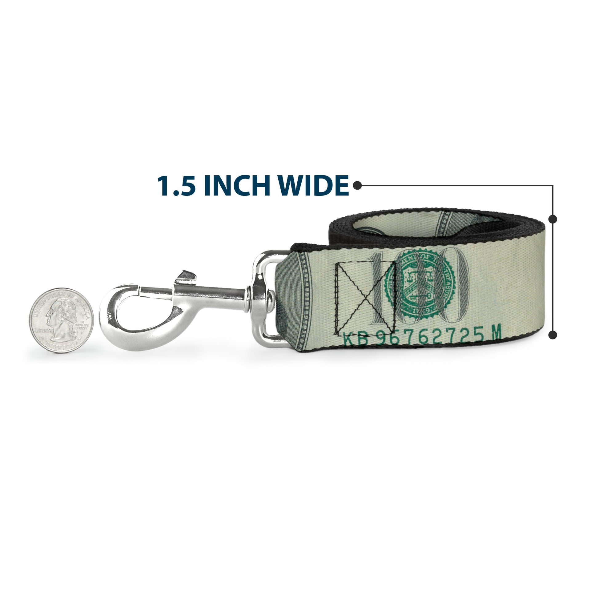 Dog Leash - 100 Dollar Bill CLOSE-UP Dog Leashes Buckle-Down