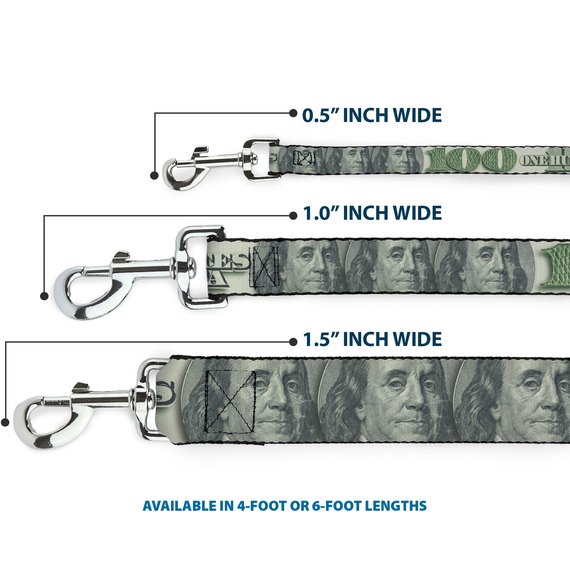 Dog Leash - 100 Dollar Bill CLOSE-UP/Triple Benjamin Dog Leashes Buckle-Down