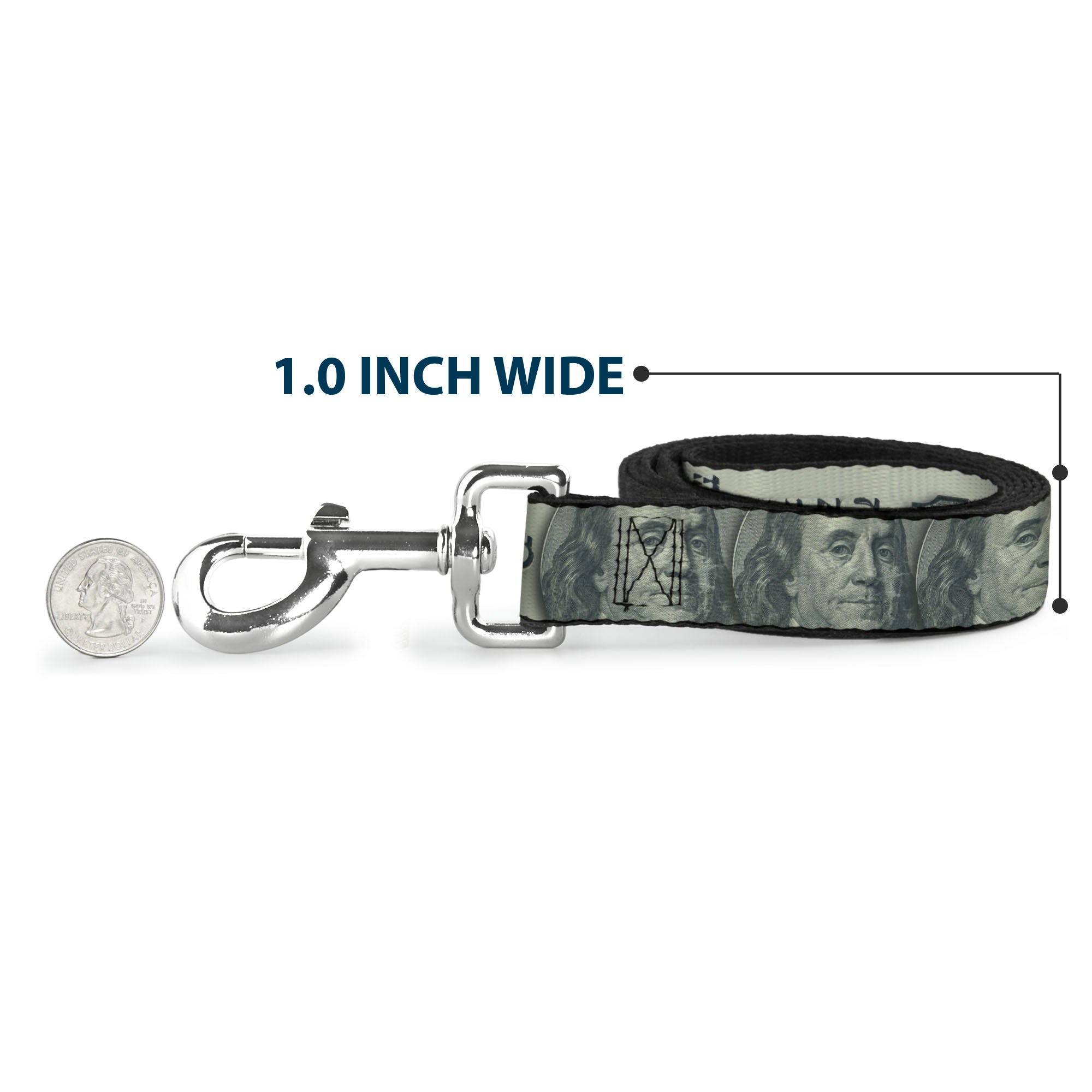 Dog Leash - 100 Dollar Bill CLOSE-UP/Triple Benjamin Dog Leashes Buckle-Down