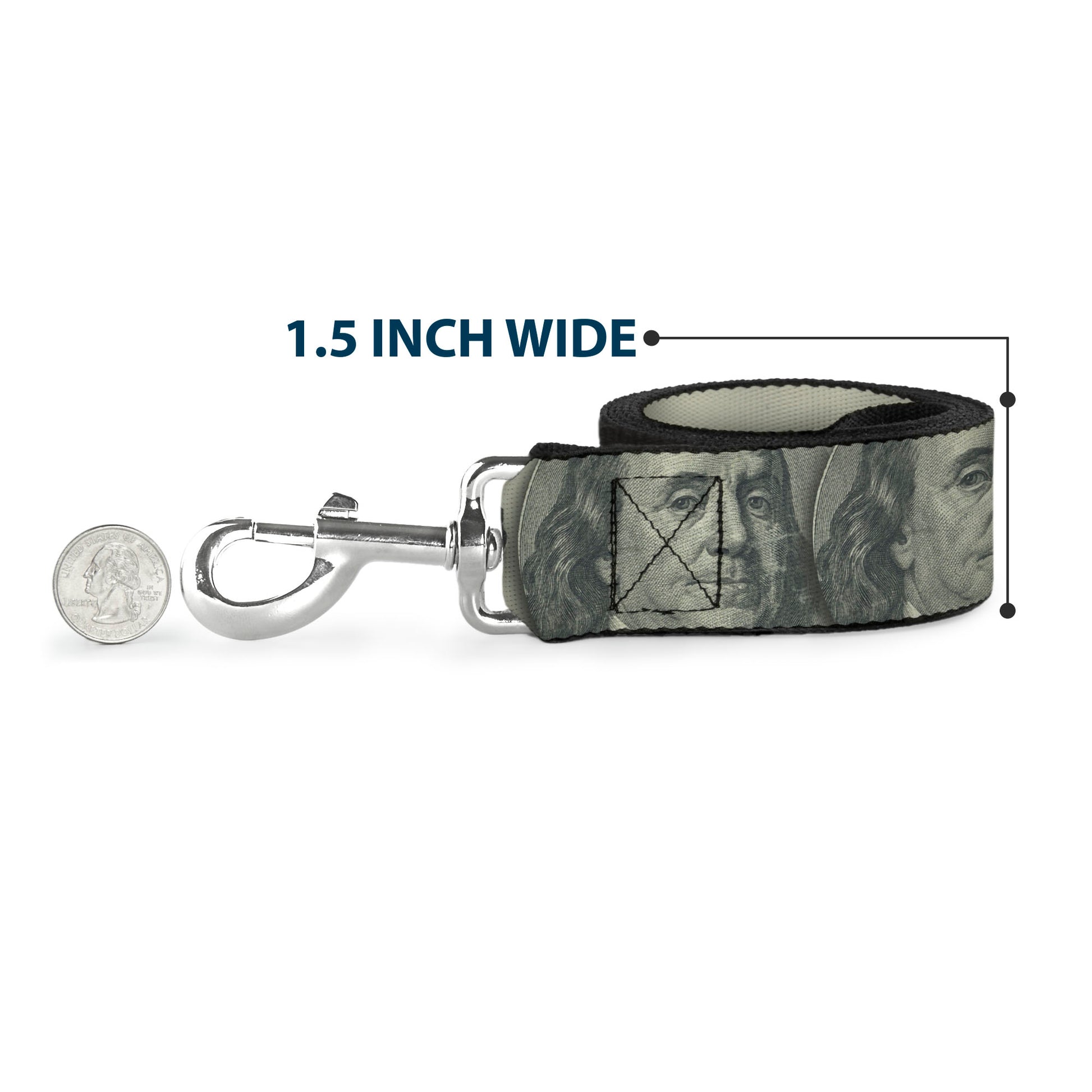 Dog Leash - 100 Dollar Bill CLOSE-UP/Triple Benjamin Dog Leashes Buckle-Down