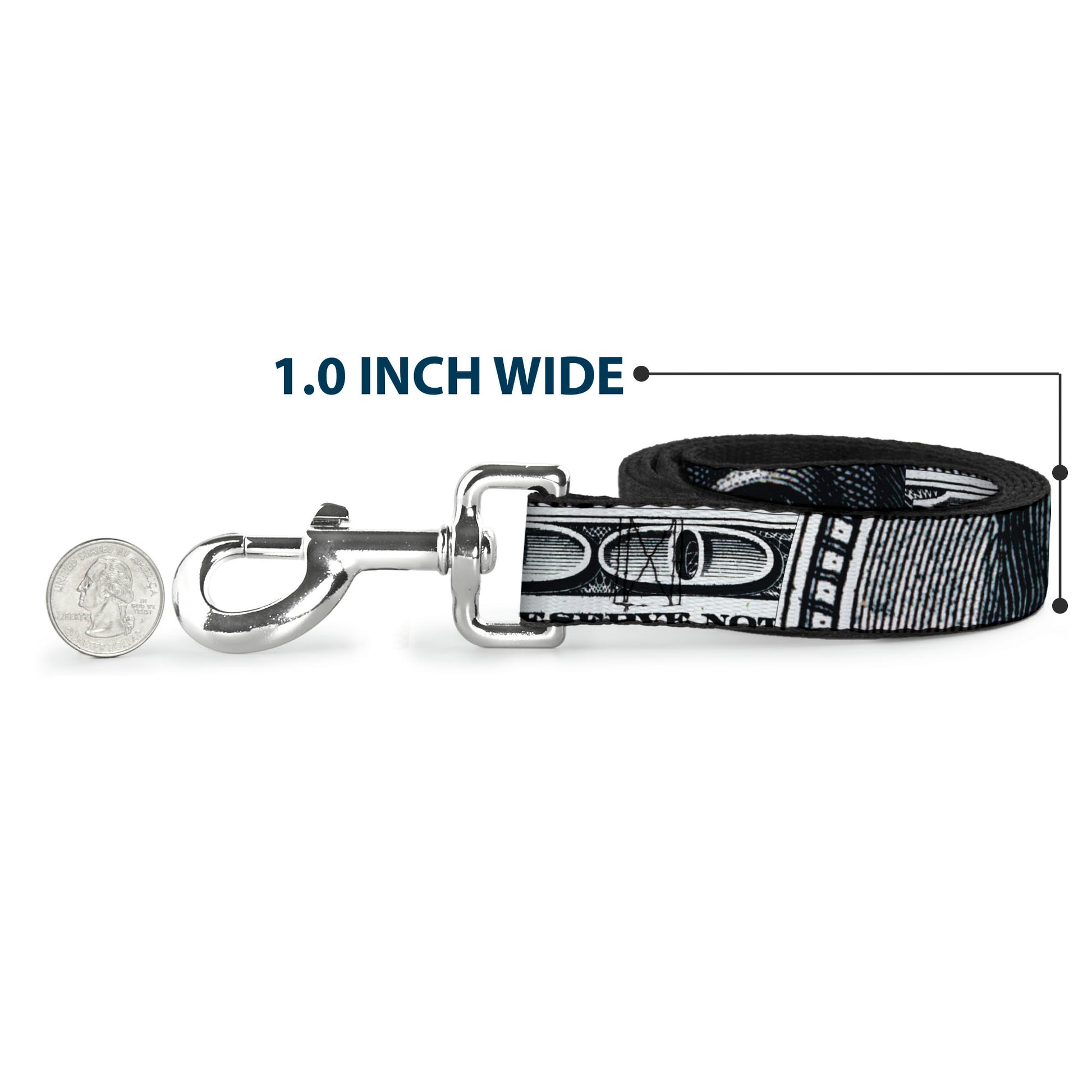 Dog Leash - 100 Dollar Bill CLOSE-UP White/Black Dog Leashes Buckle-Down