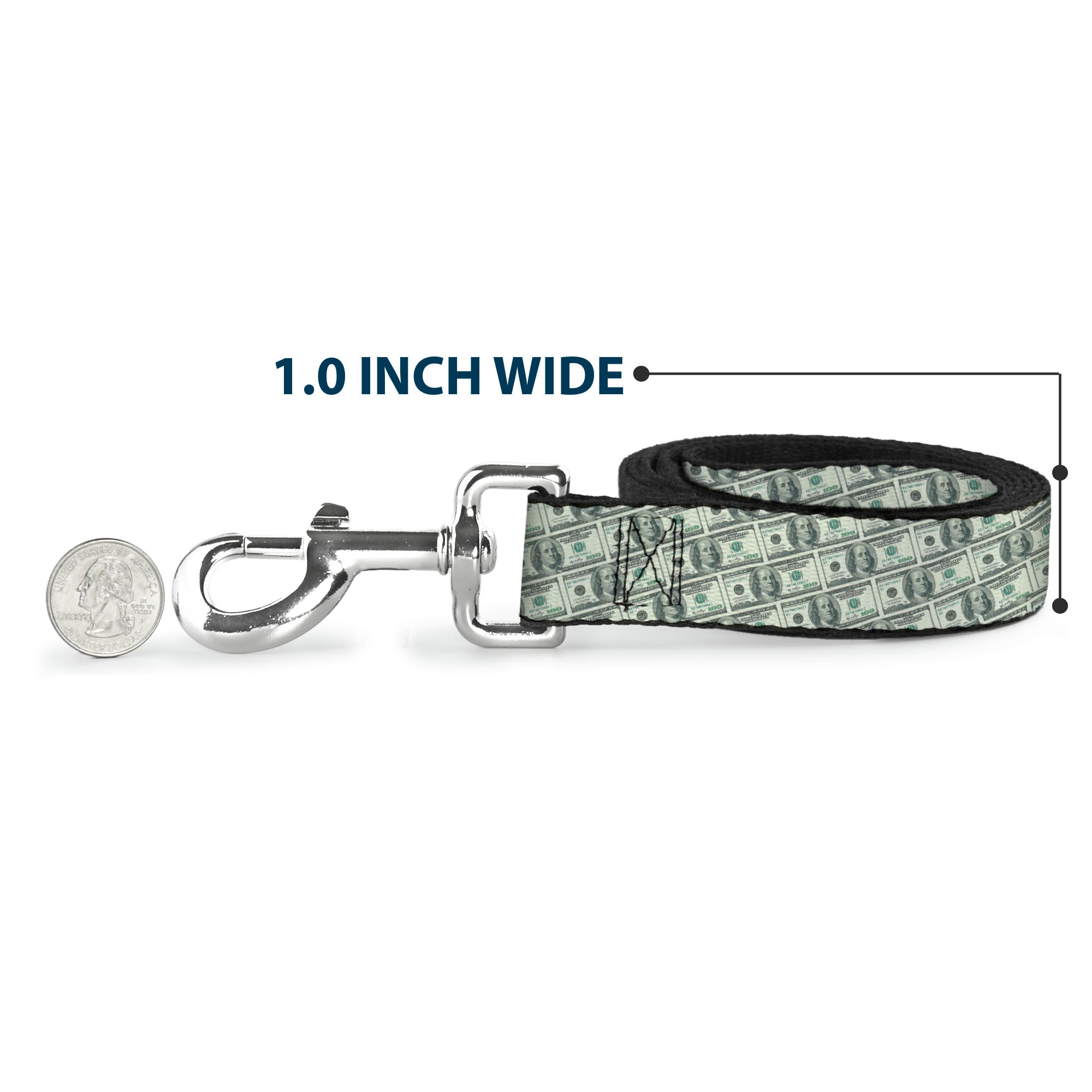 Dog Leash - 100 Dollar Bill Old Series 2006 Repeat Dog Leashes Buckle-Down