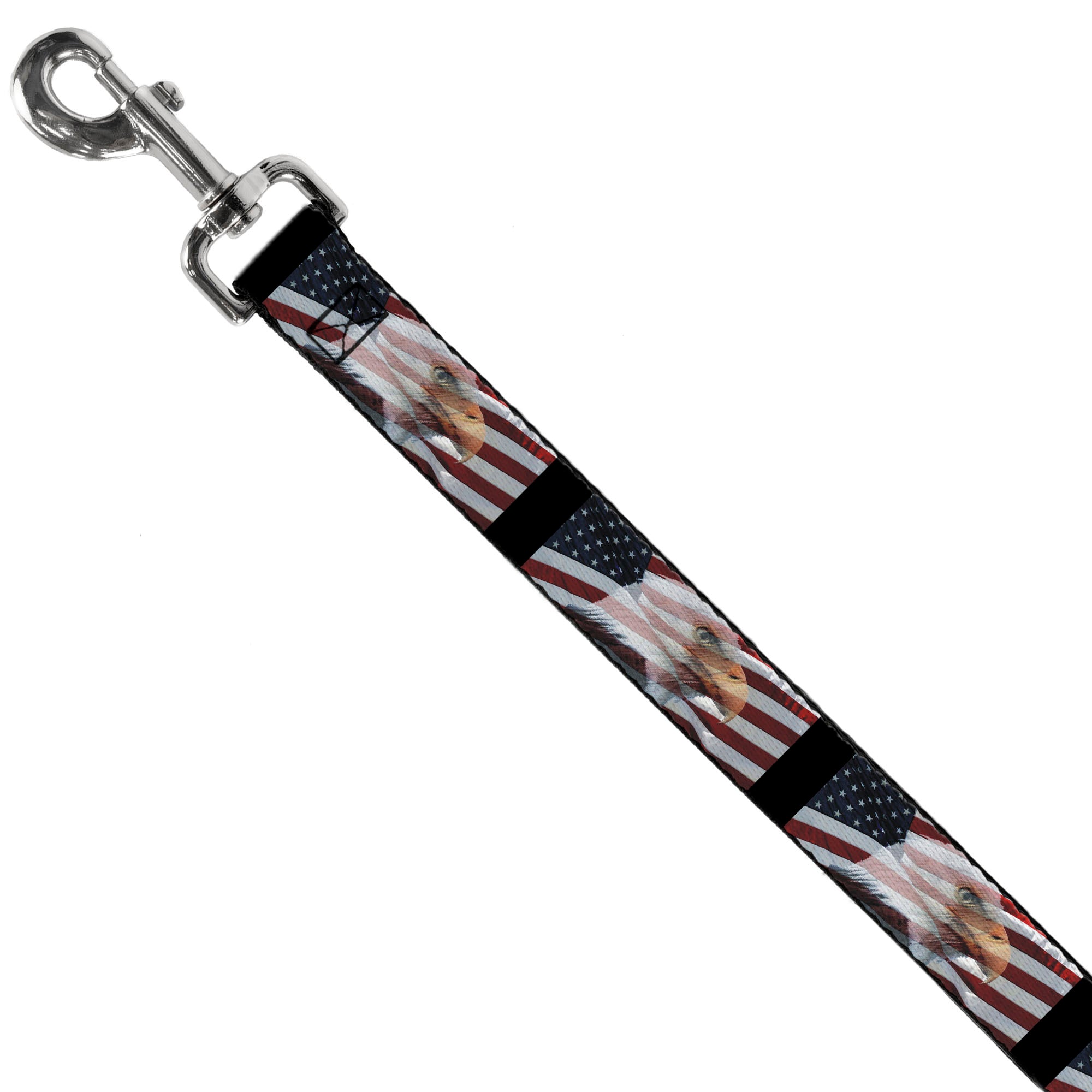 Dog Leash - American Eagle Flags Dog Leashes Buckle-Down