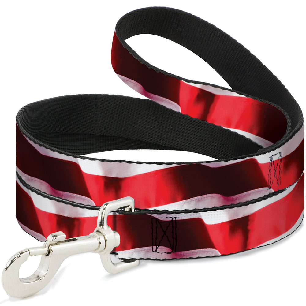 Dog Leash - American Flag Vivid Stripes CLOSE-UP Red/White Dog Leashes Buckle-Down