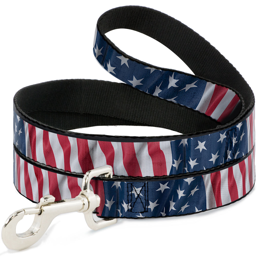 Dog Leash - American Flag Vertical CLOSE-UP Dog Leashes Buckle-Down