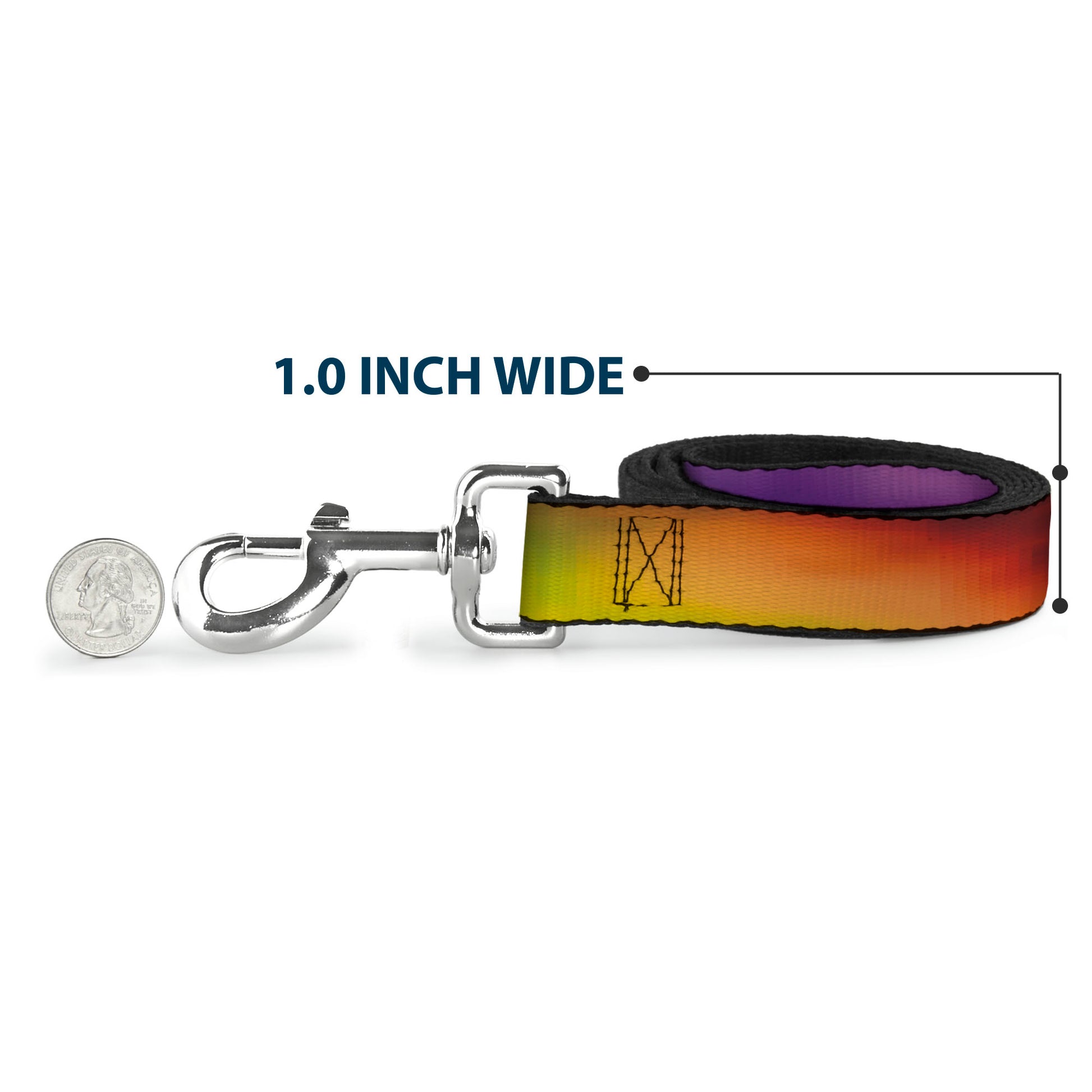 Dog Leash - BD Psychedelic Dog Leashes Buckle-Down